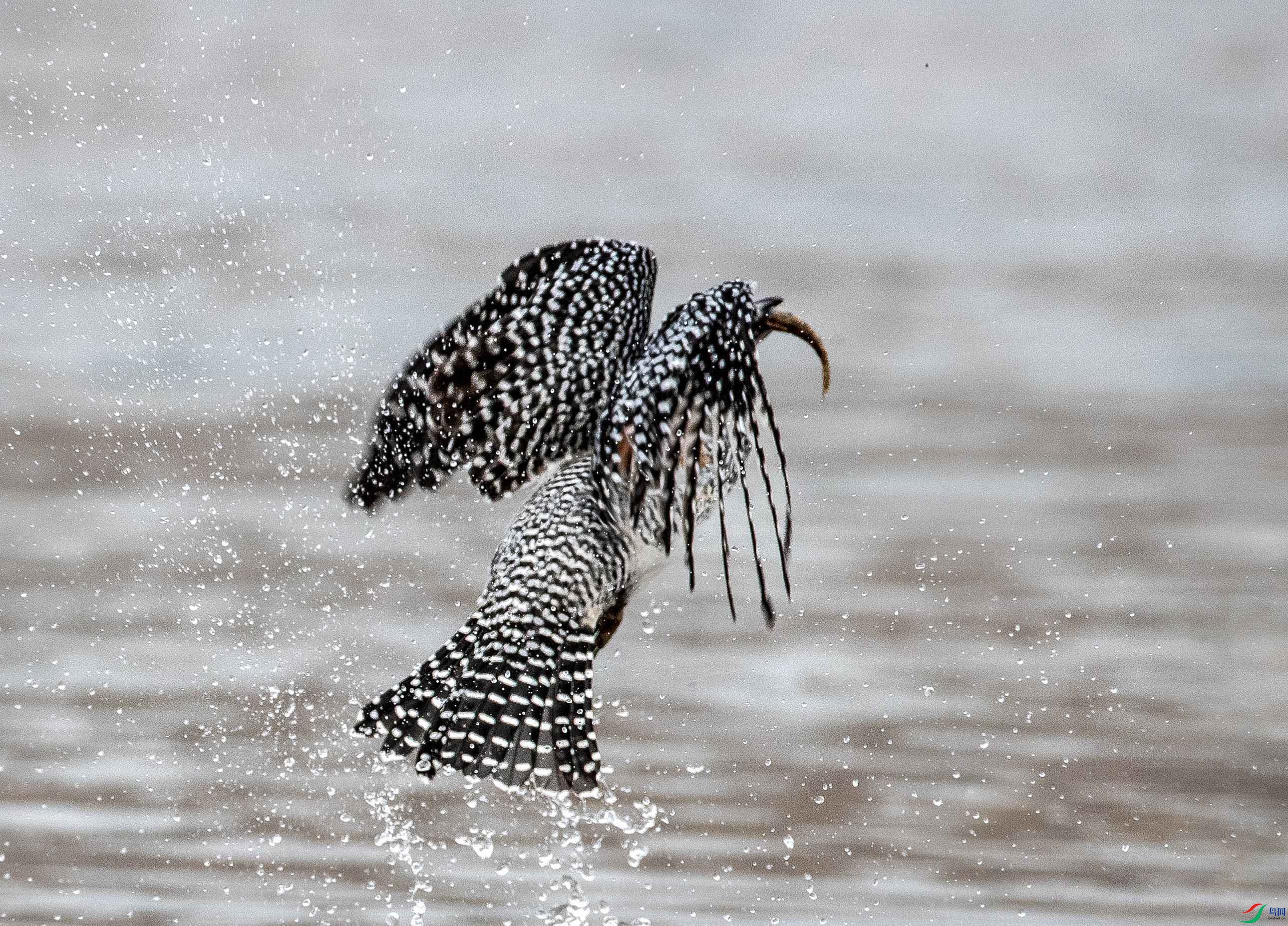 A79I5199 ����.jpg