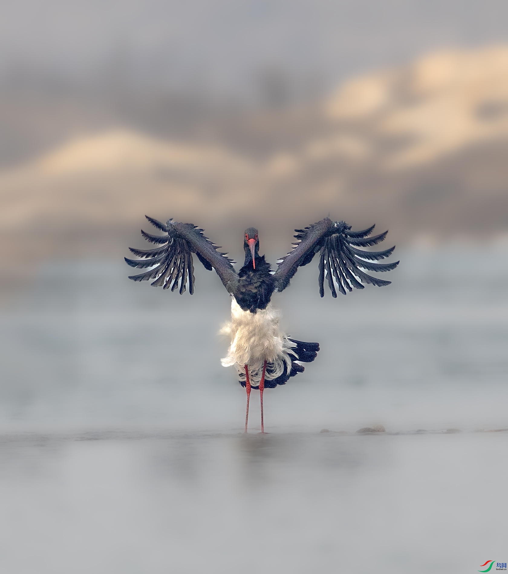 A79I5431 ����.jpg