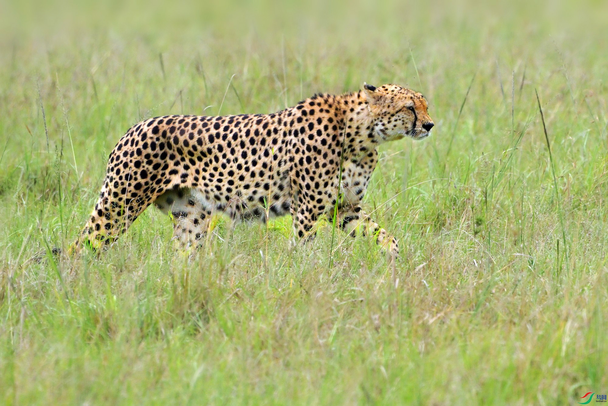 DSC_5241_.jpg