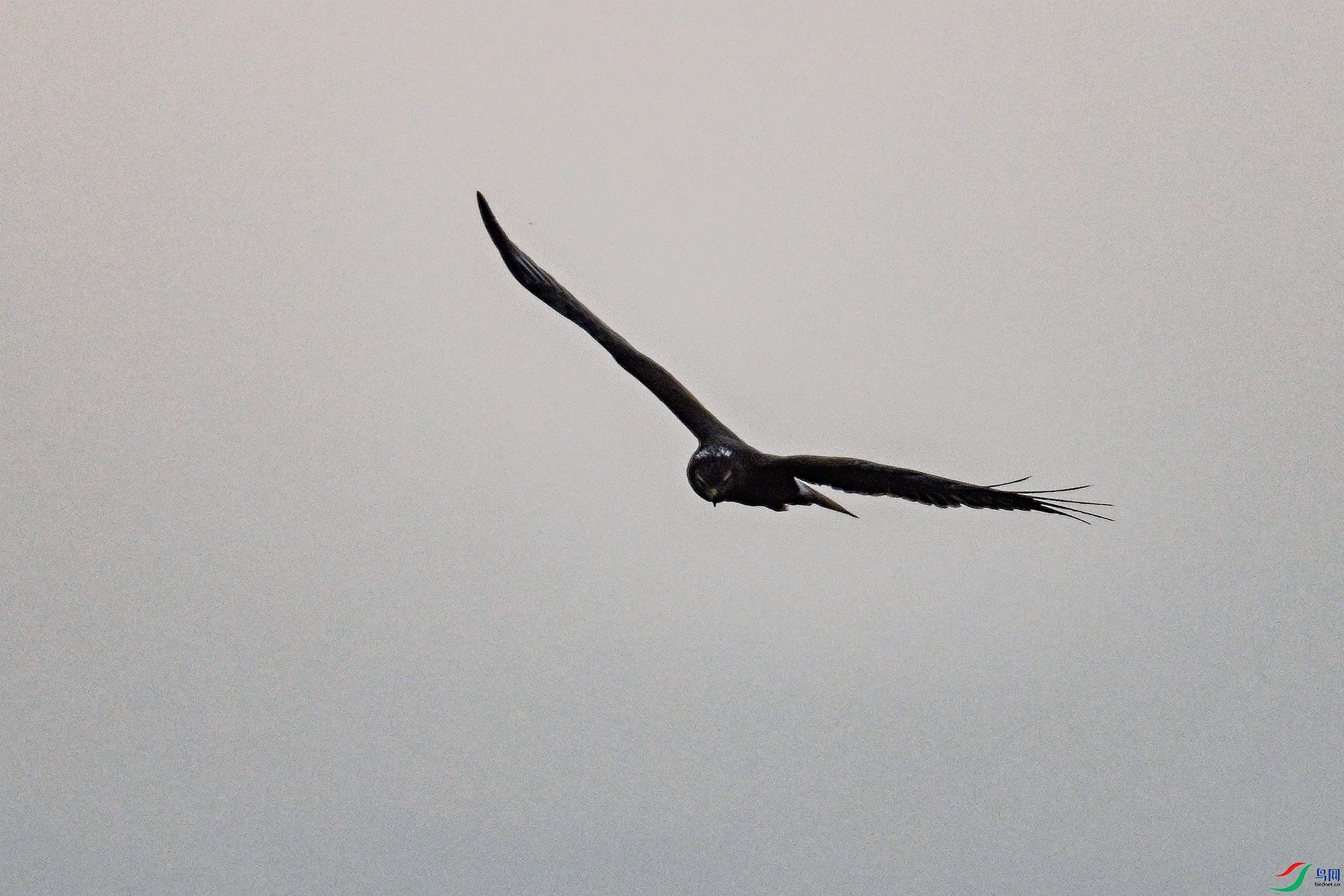 DSC_7728.JPG