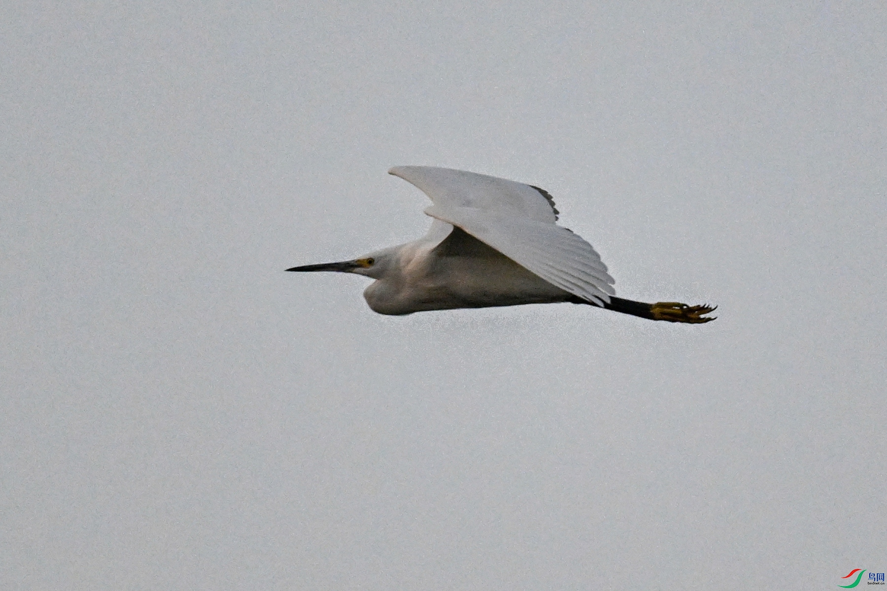 DSC_7743.JPG