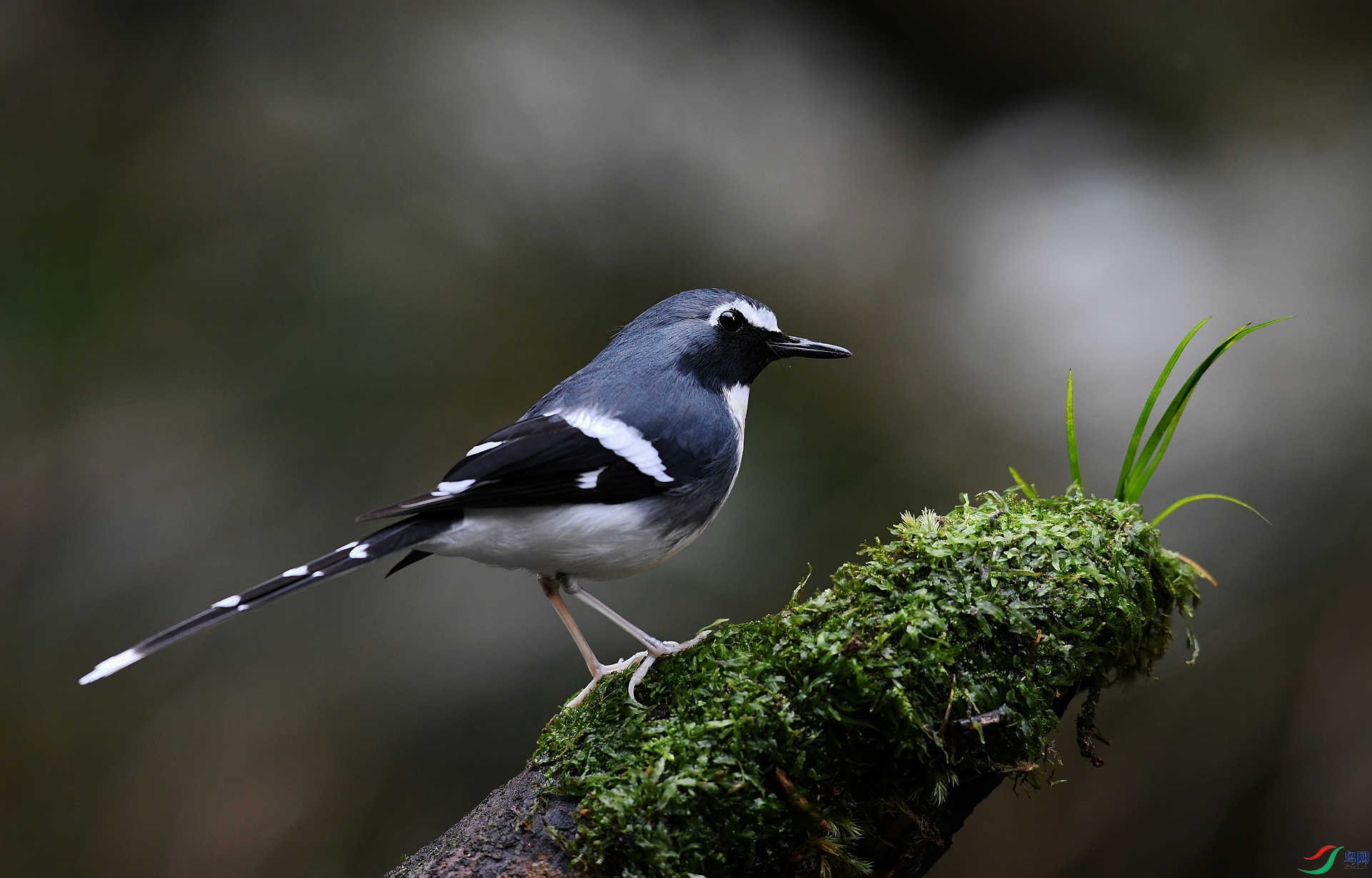 DSC_6281.jpg