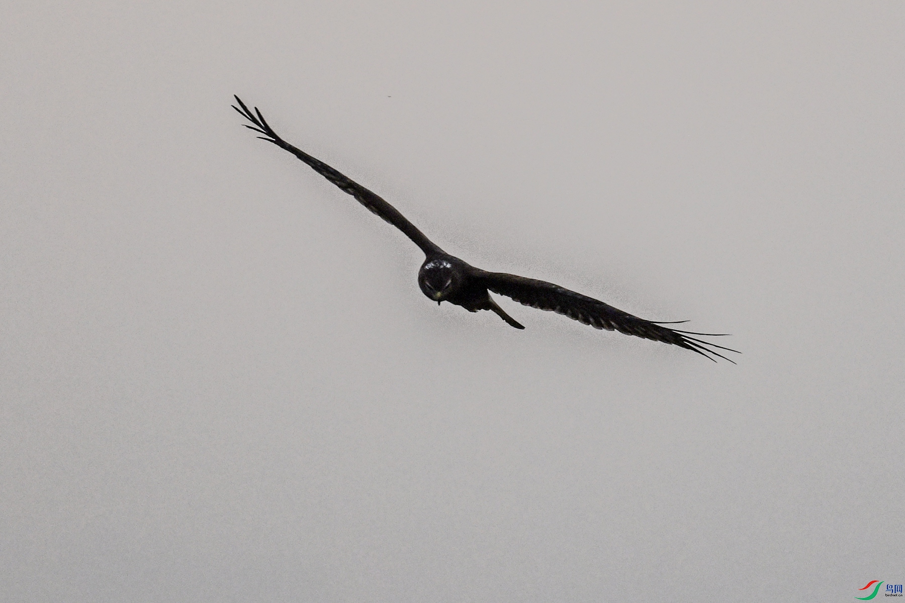 DSC_7730.JPG