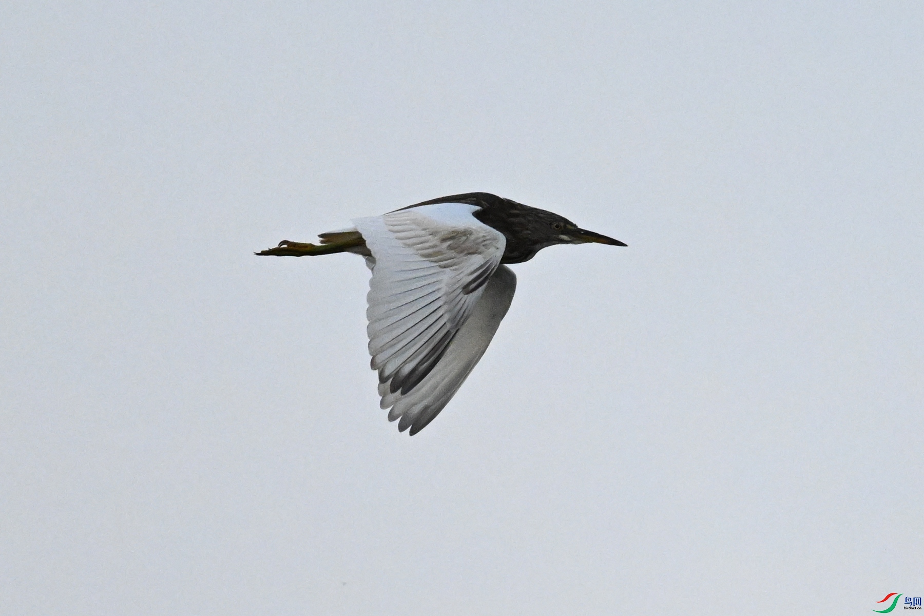 DSC_7741.JPG