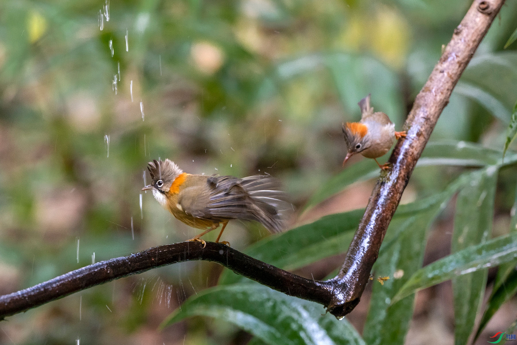 DSC_9230.jpg