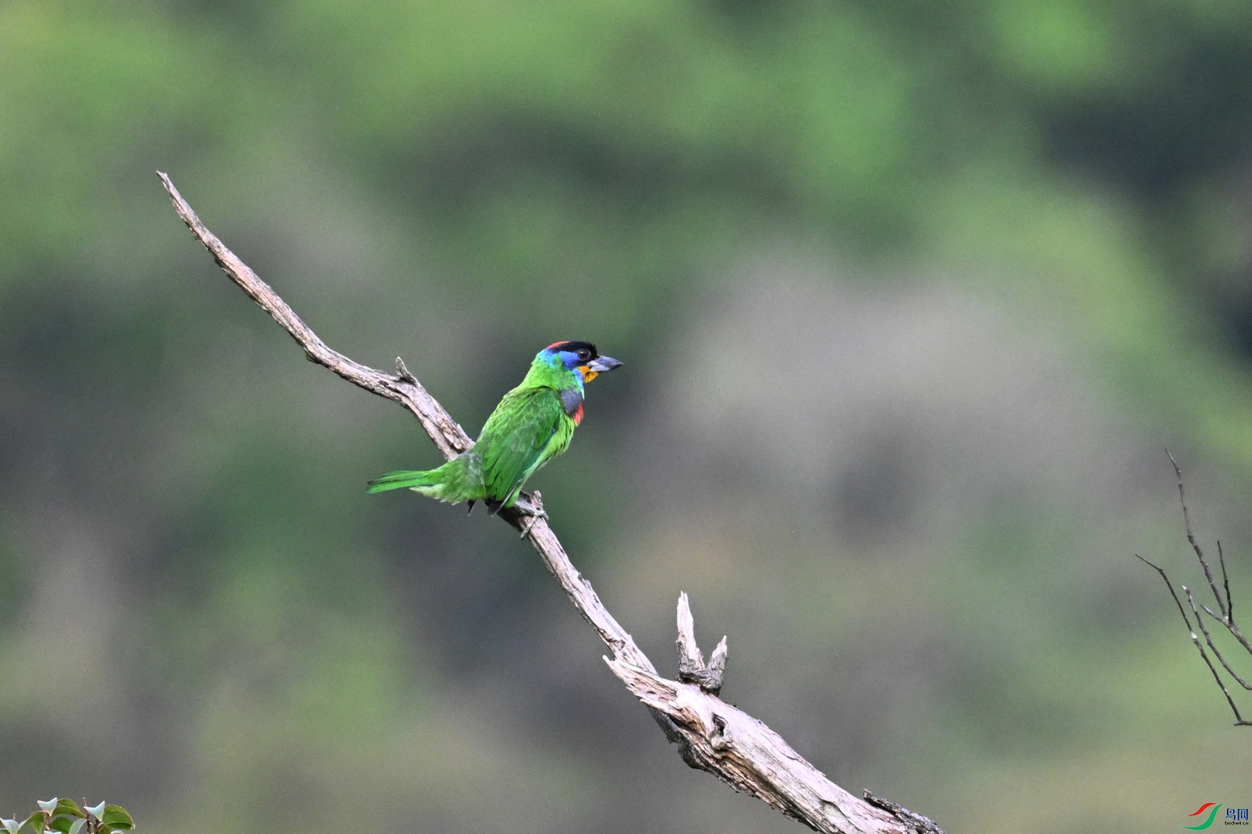 DSC_0265.JPG