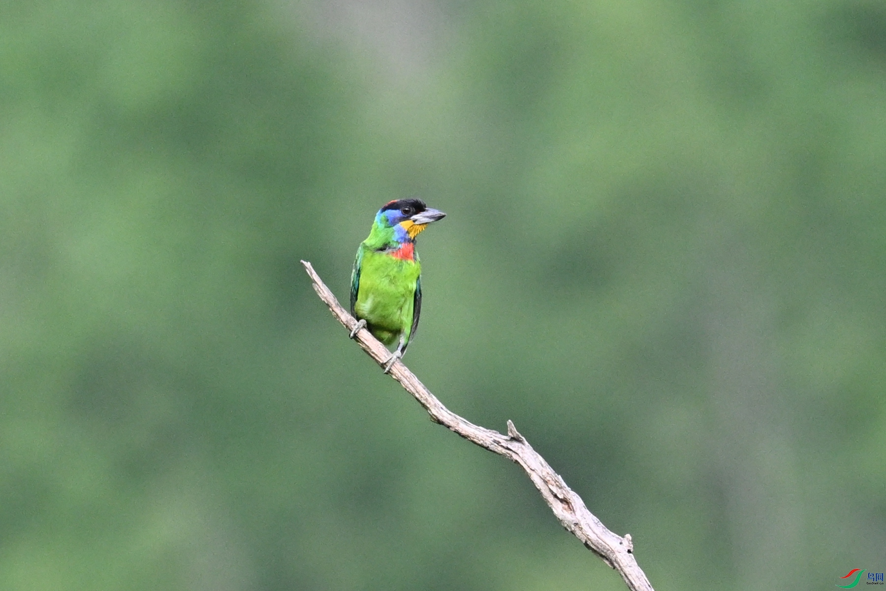 DSC_0263.JPG