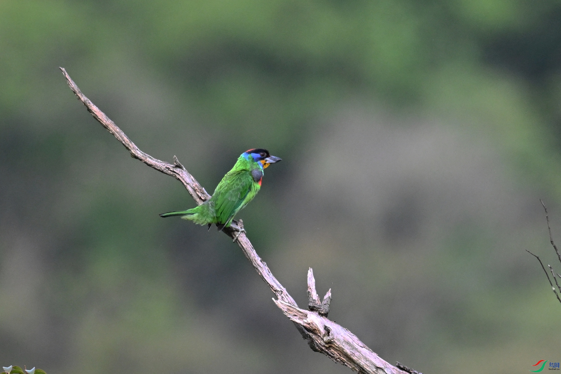 DSC_0267.JPG