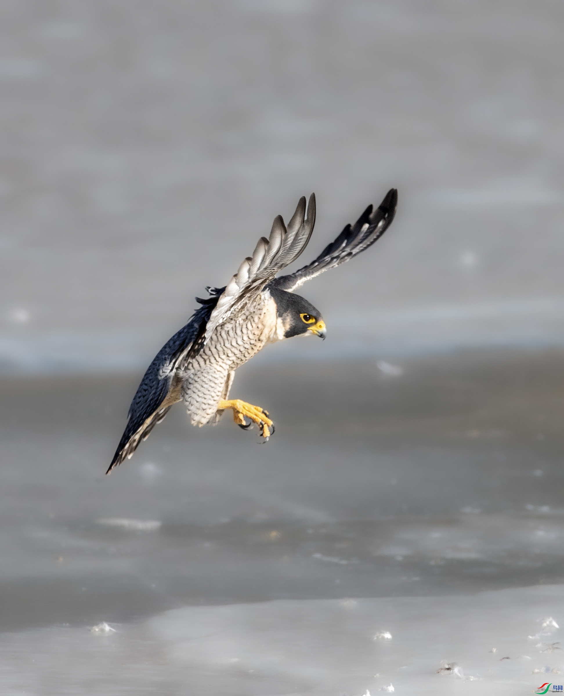 A79I3660 ����.jpg