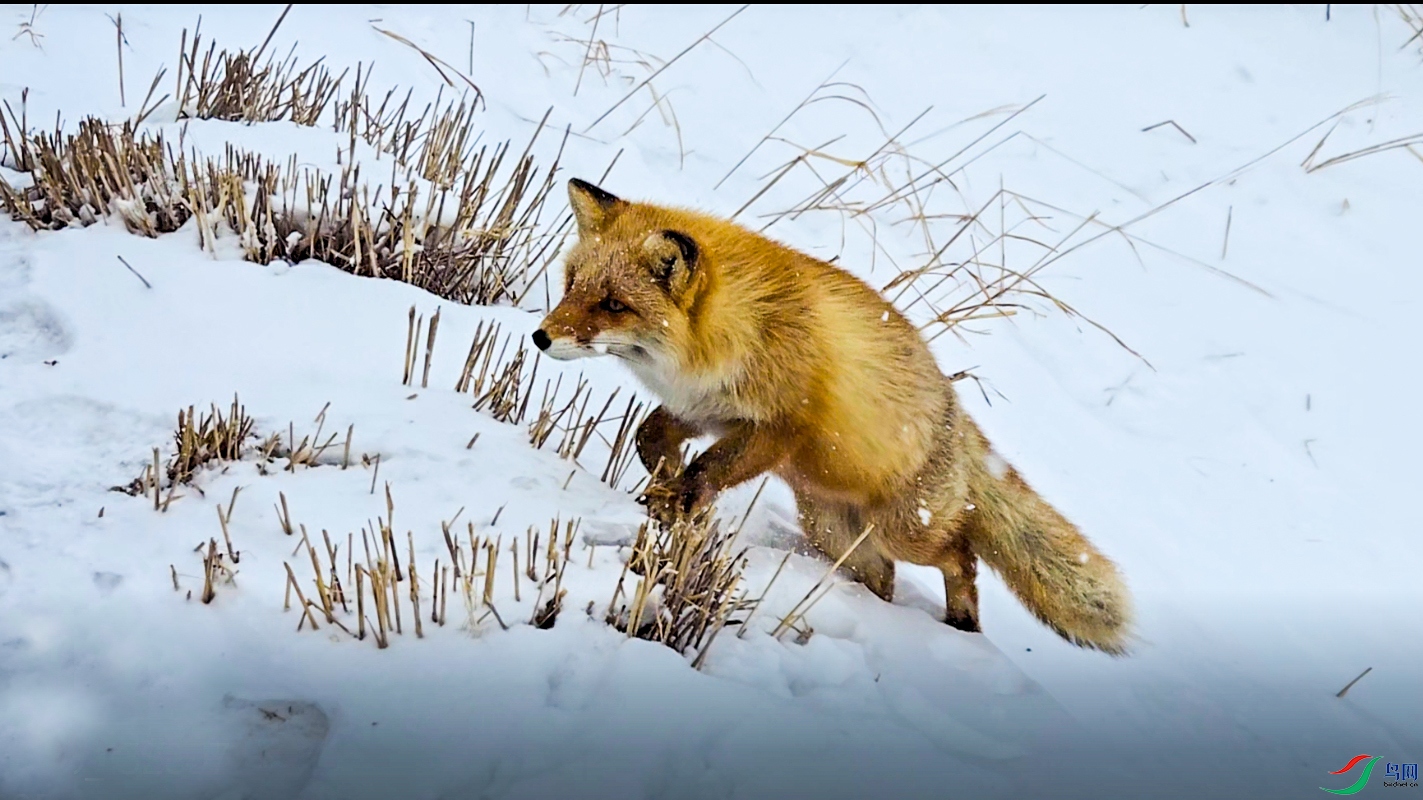 ΢��ͼƬ_2026-01-05_124229_661 ����.jpg