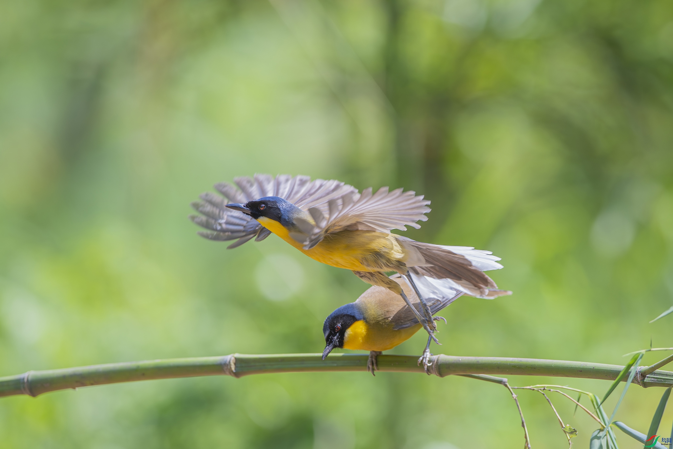 DSC_9252-����ǿ-NR ���� (2) ����.jpg