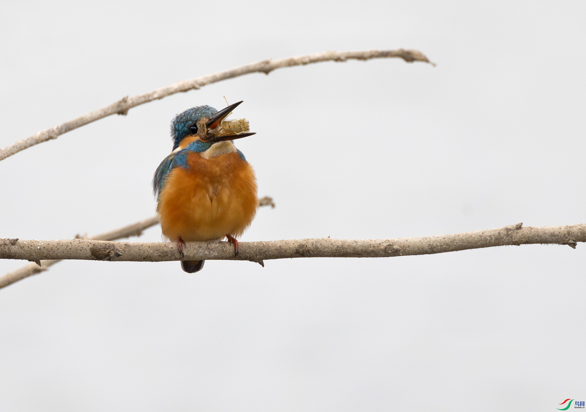 G47A5073-����ǿ-NR ����.jpg