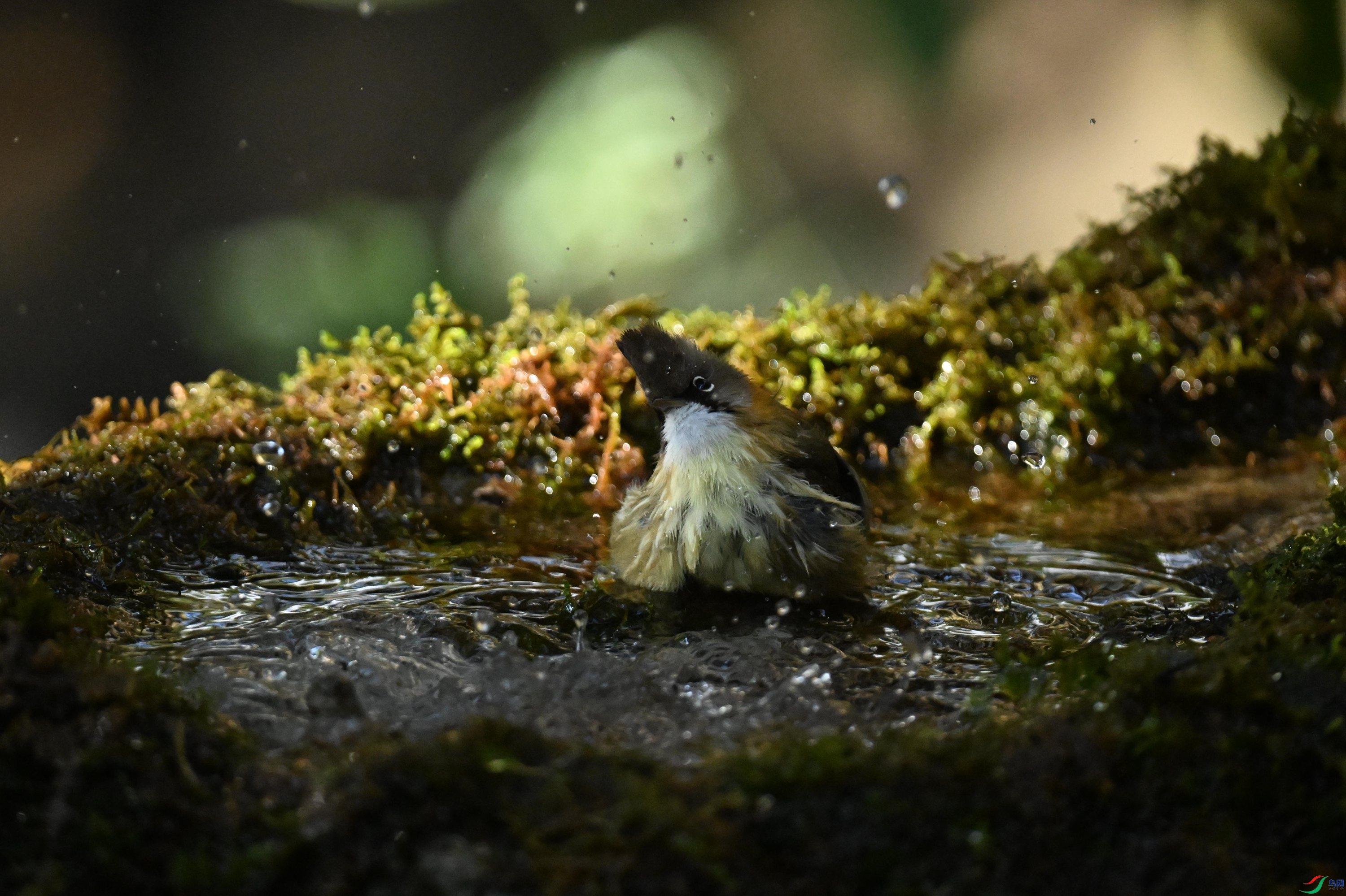 ���� (4).jpg