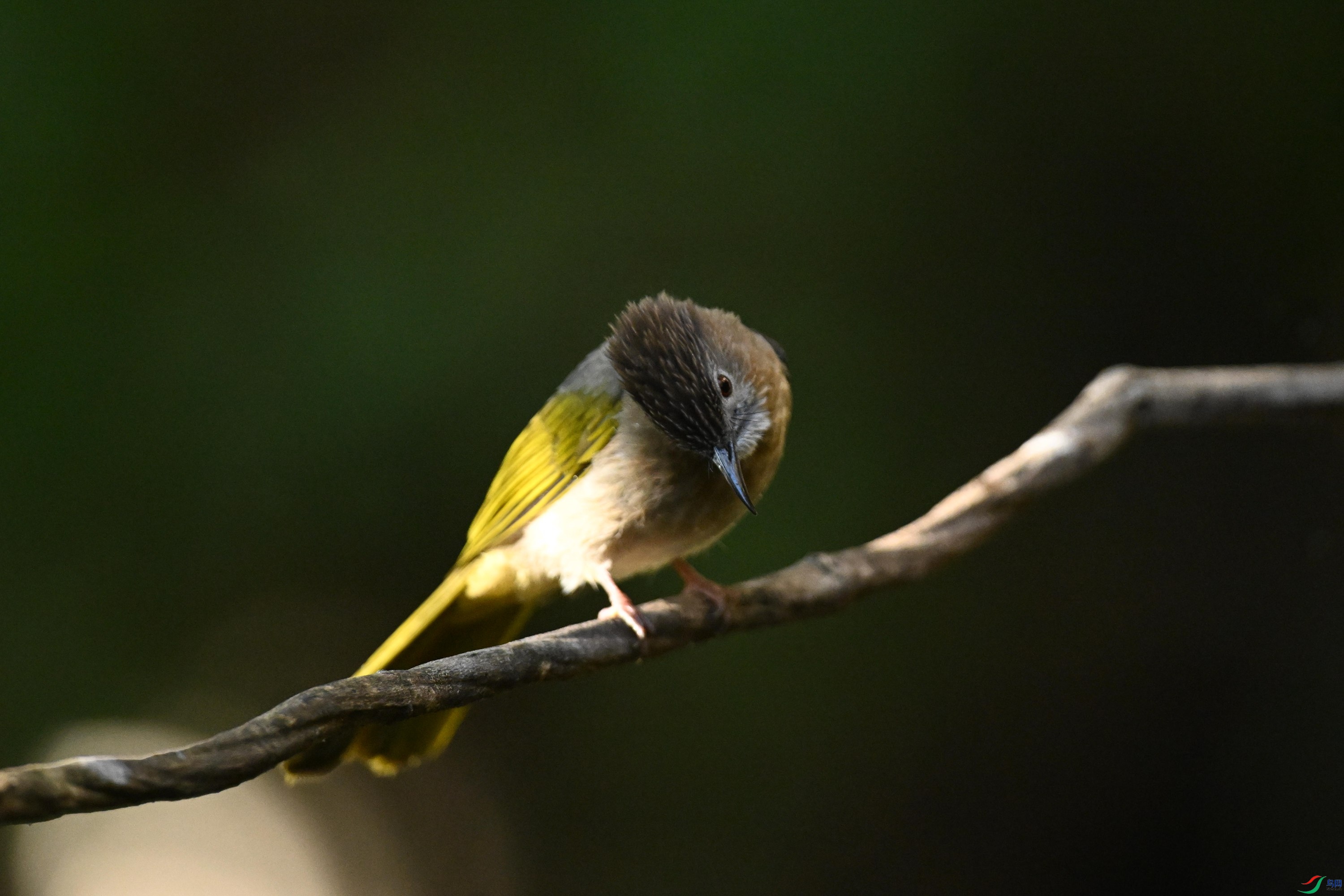 ���� (11).jpg