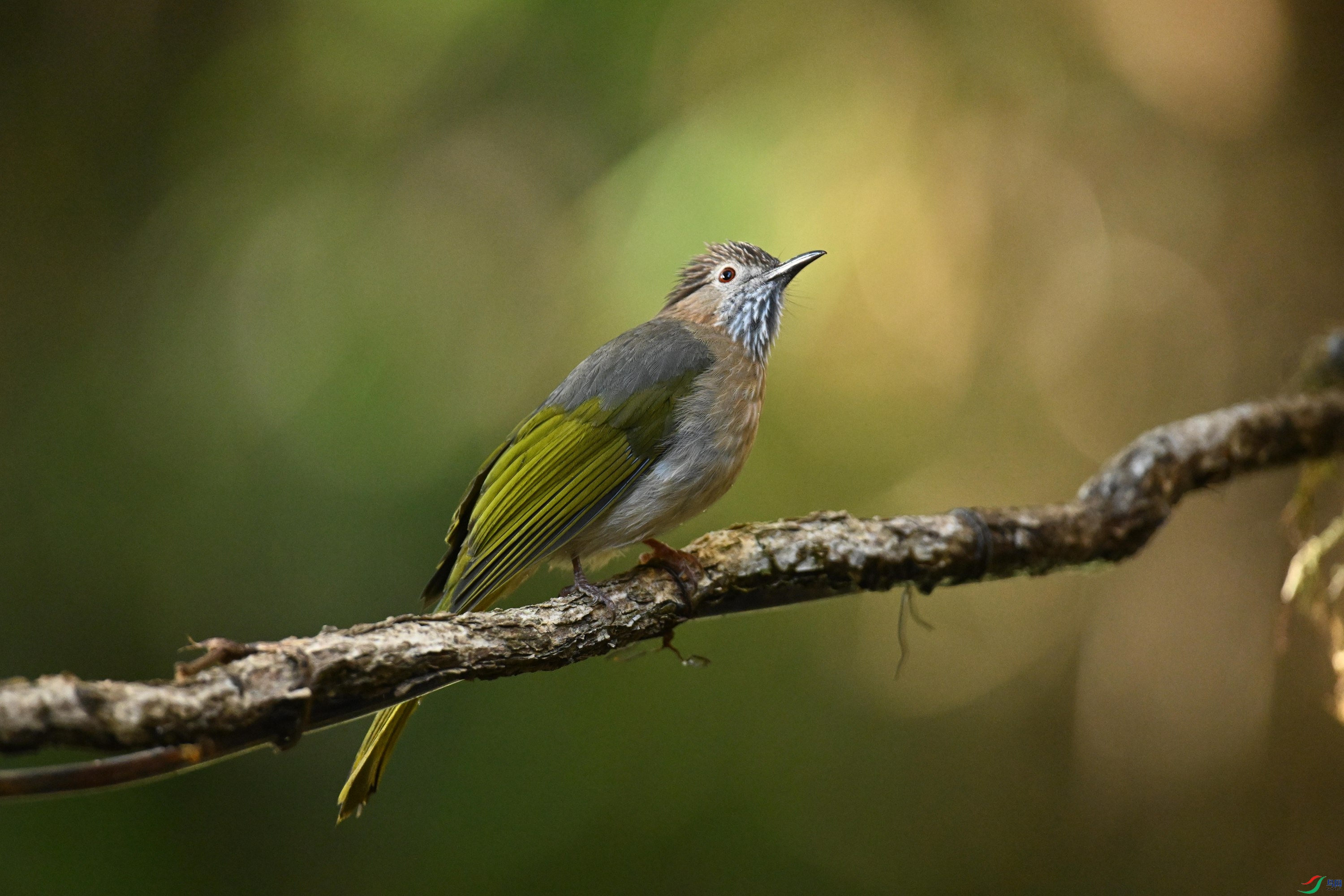 ���� (13).jpg