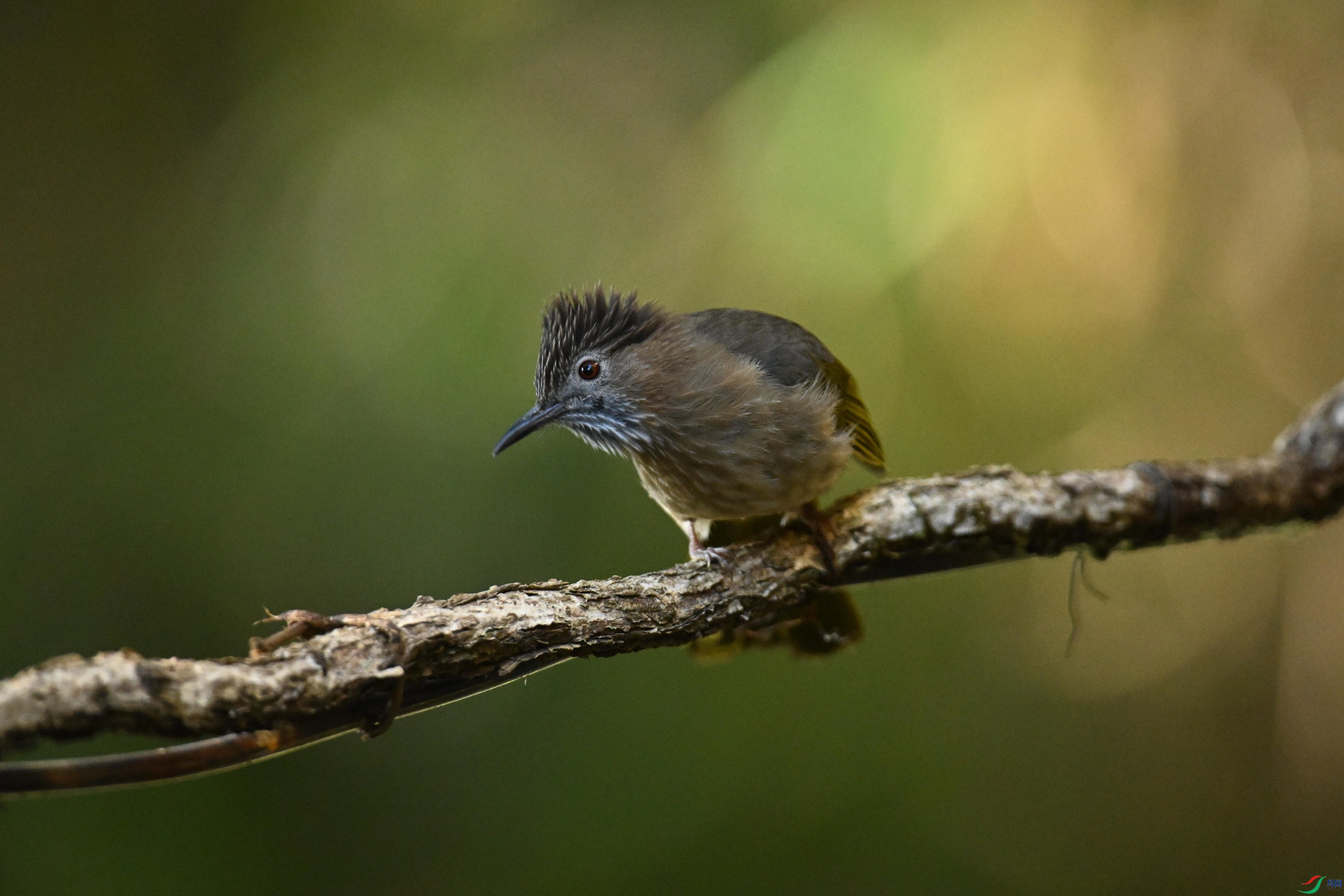 ���� (15).jpg