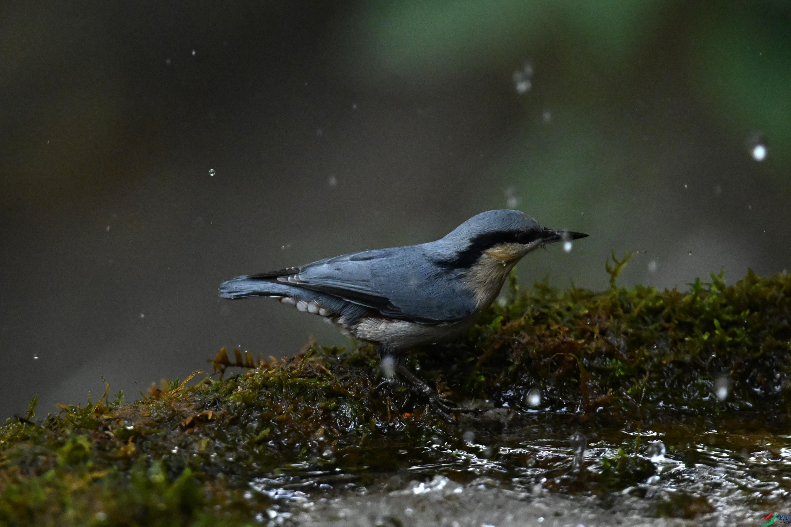 ���� (18).jpg