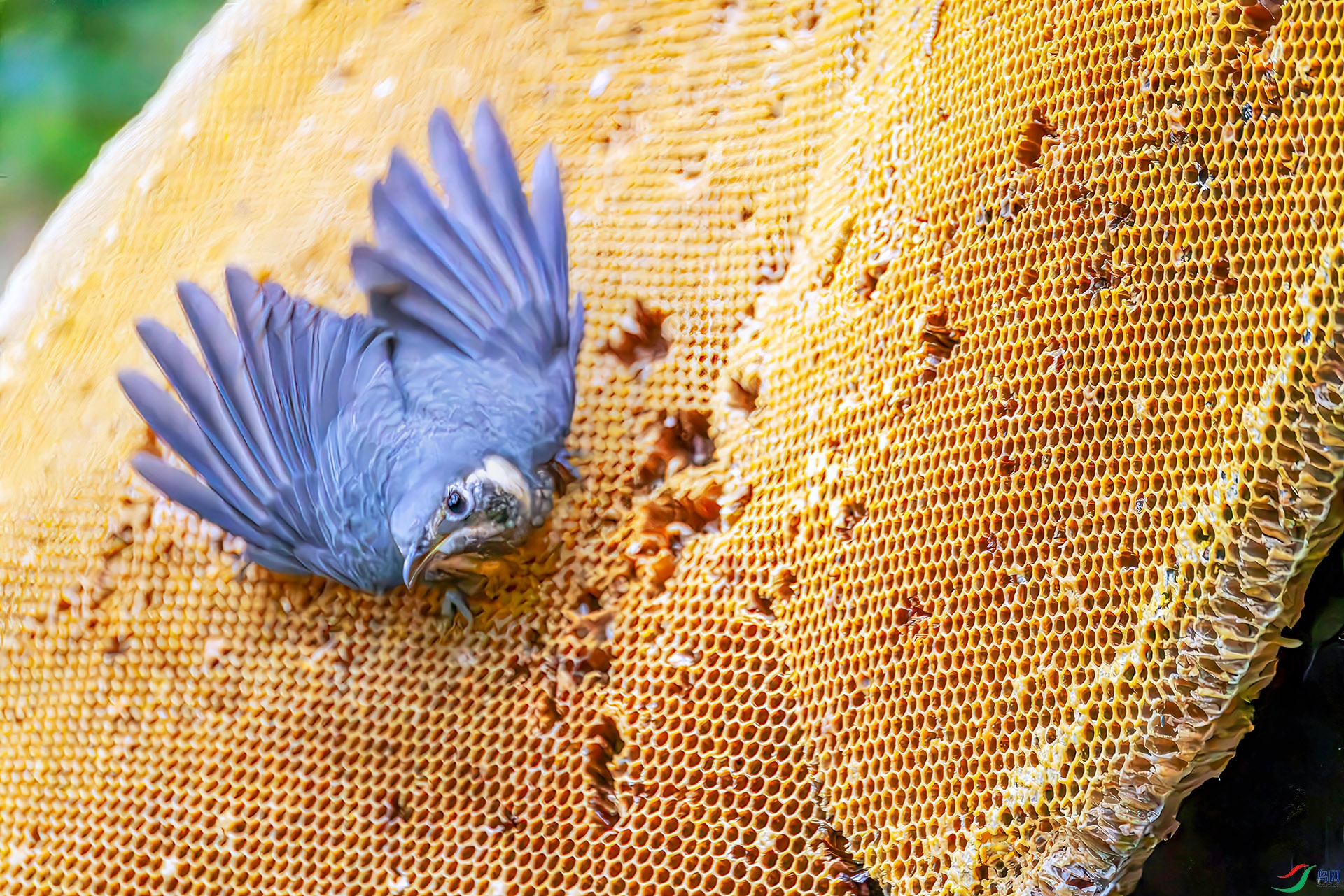 407A5562-----33  .jpg