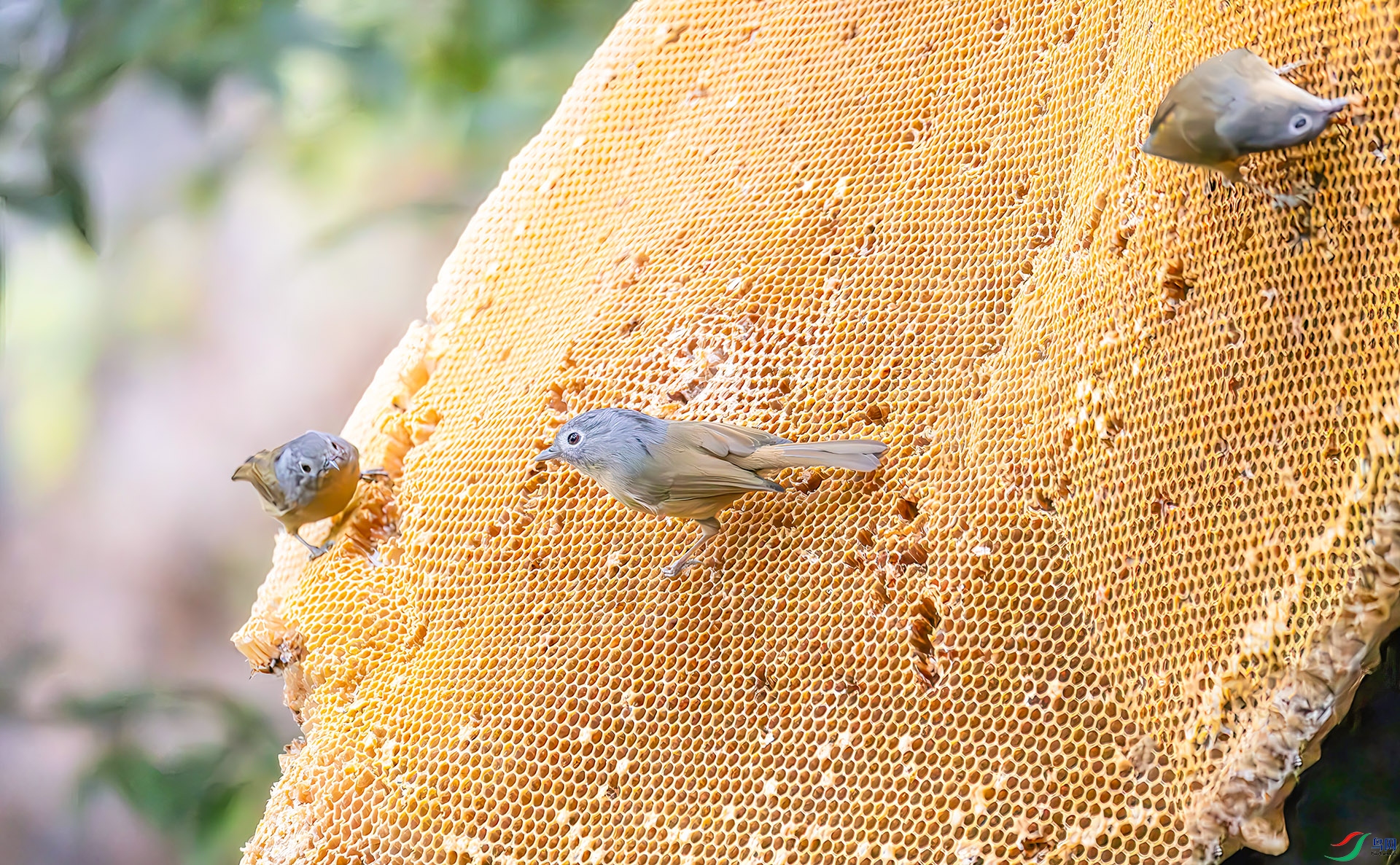 407A6620----33  .jpg