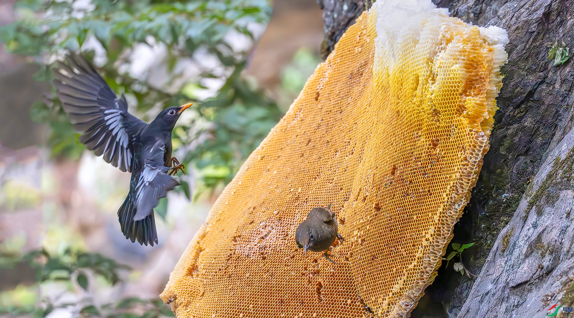 �ҳ��407A5419----33  .jpg