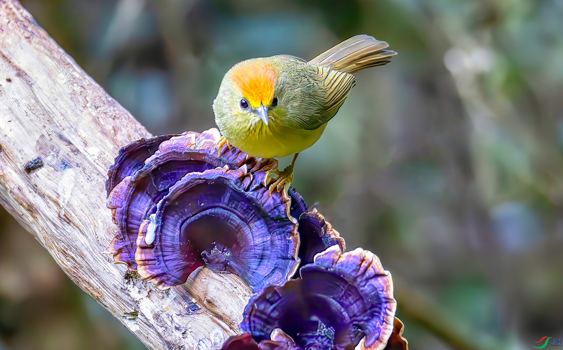 407A7184----33  .jpg