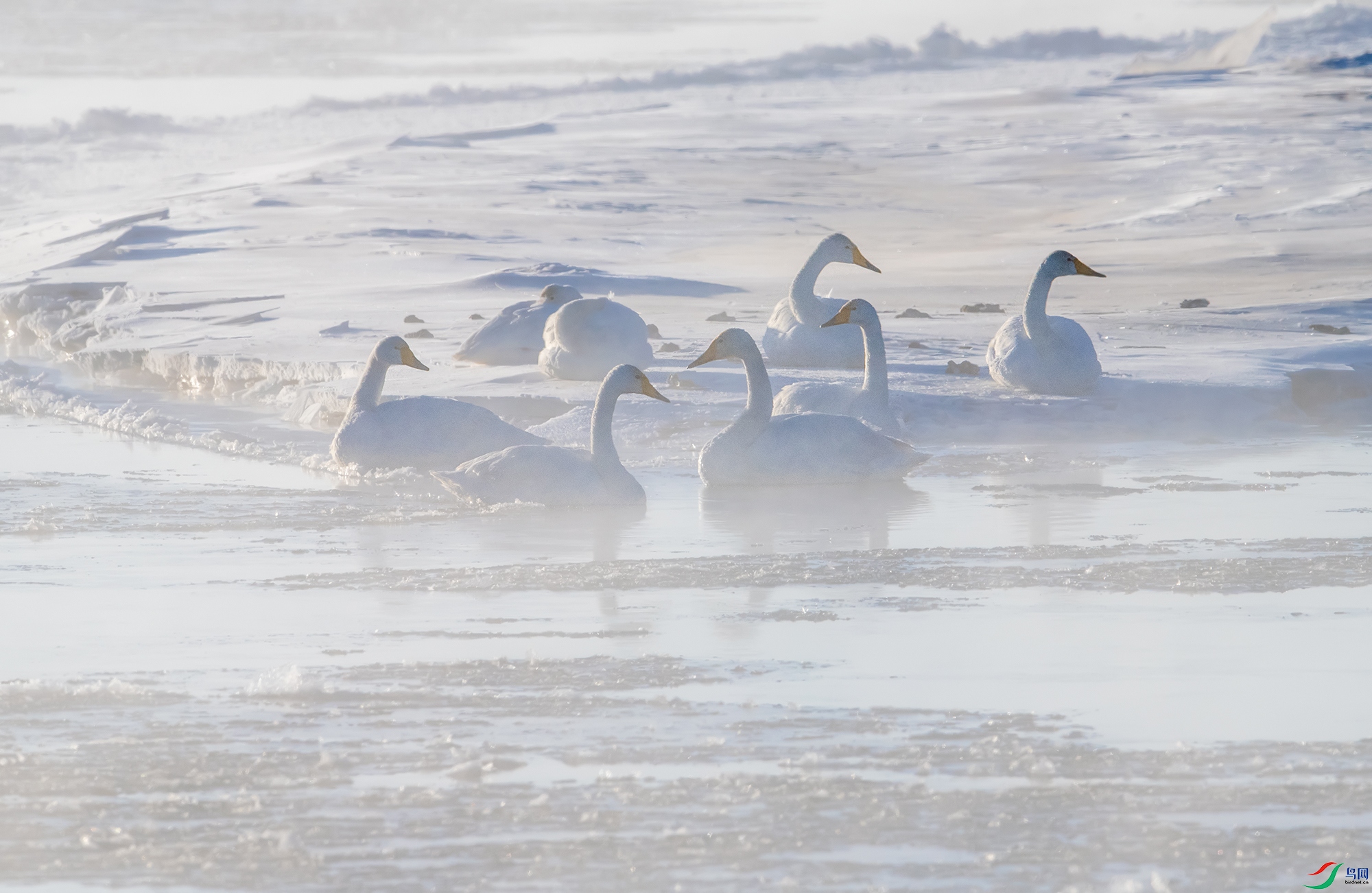 DSC_07261.jpg