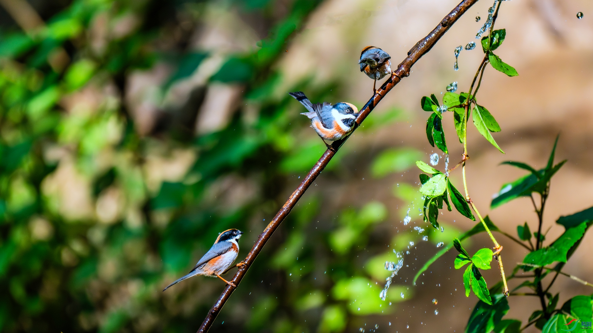 DSC_6711 ����_����.jpg