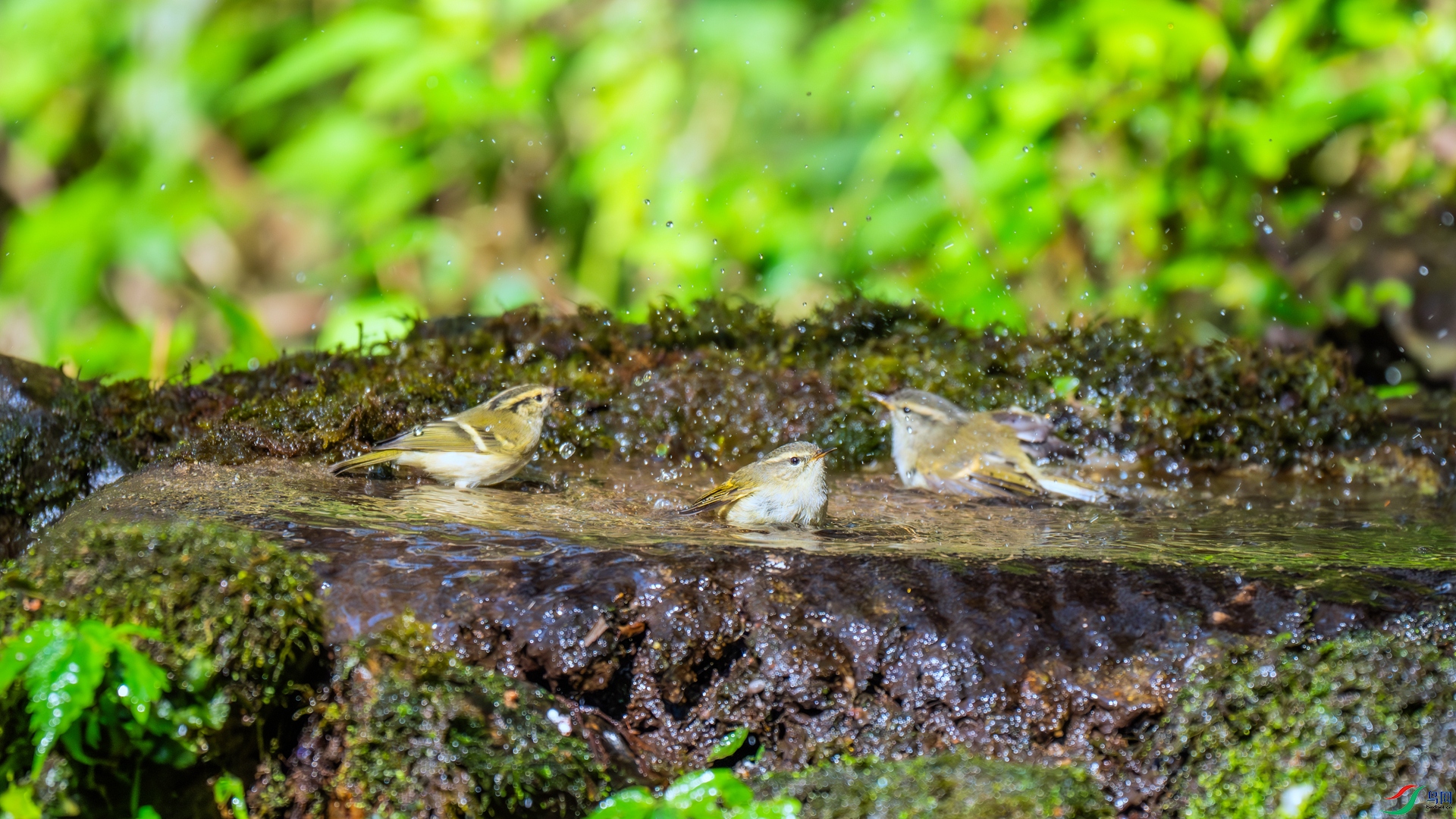 DSC_7479 ����_����.jpg