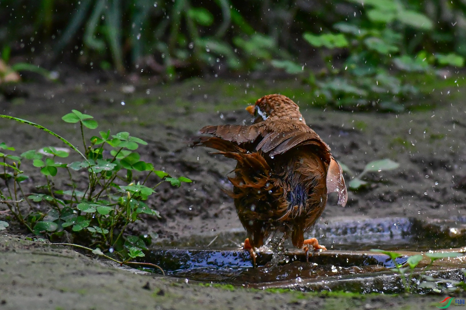 DSC_4689_1.jpg