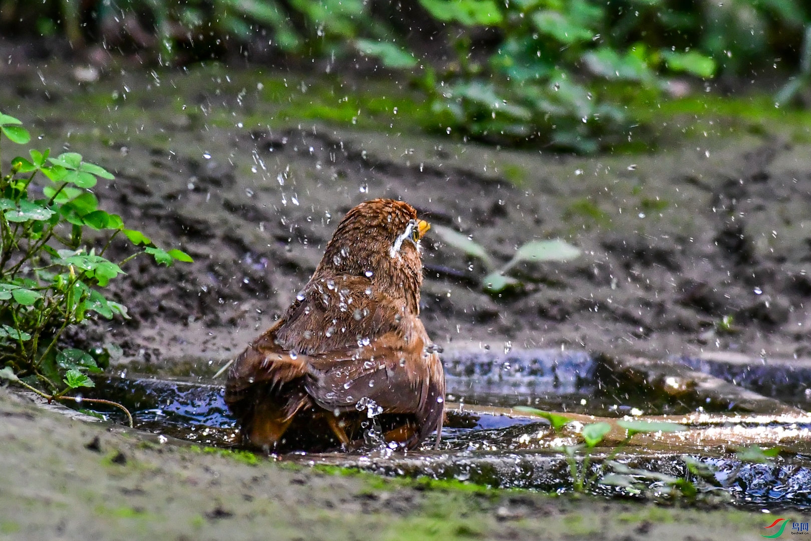 DSC_4688_2.jpg