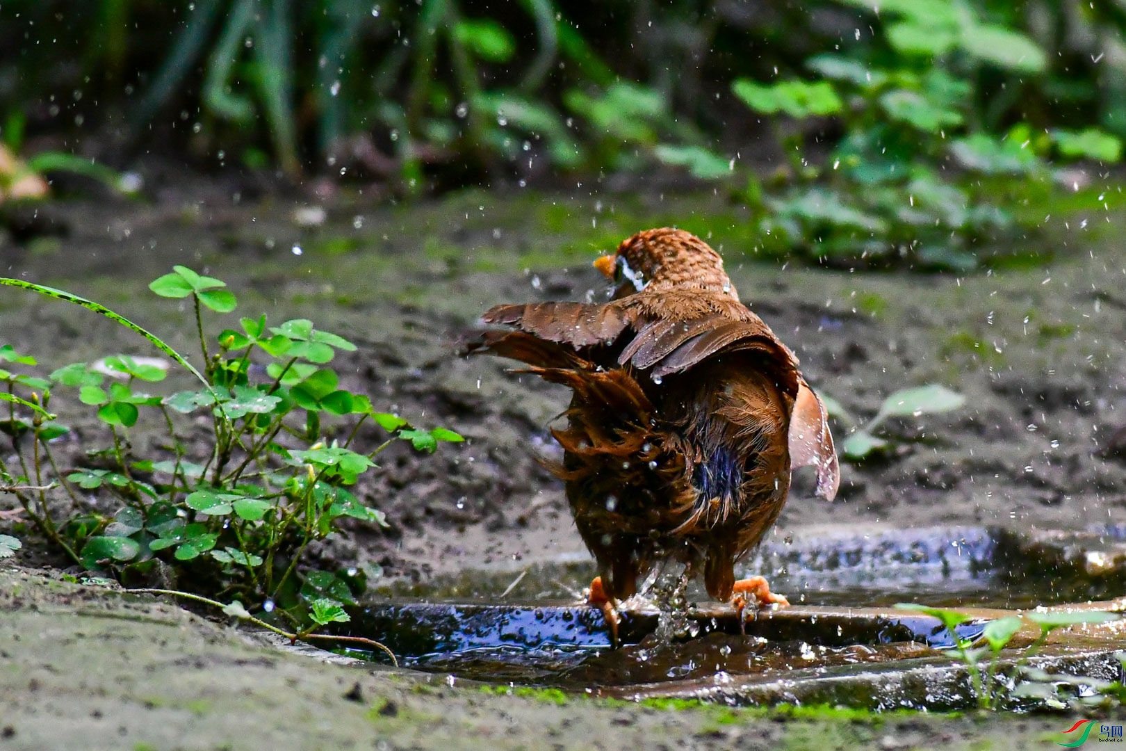 DSC_4689_2.jpg
