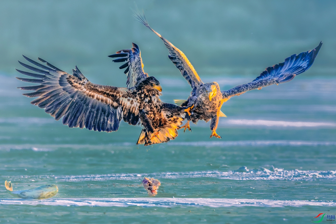 ��β����----����֮��ʳ���ս