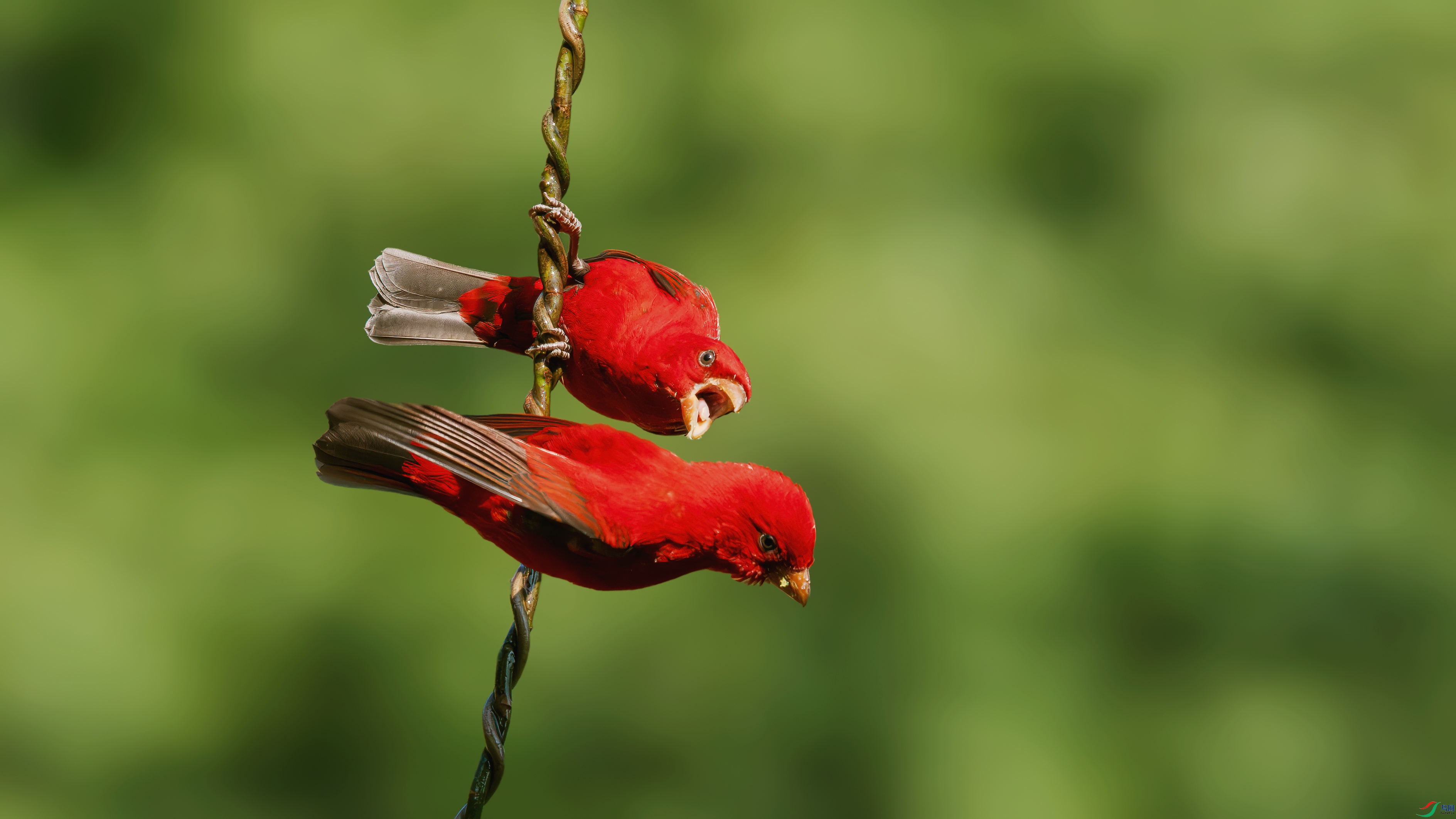 _DSC4048 ����.jpg