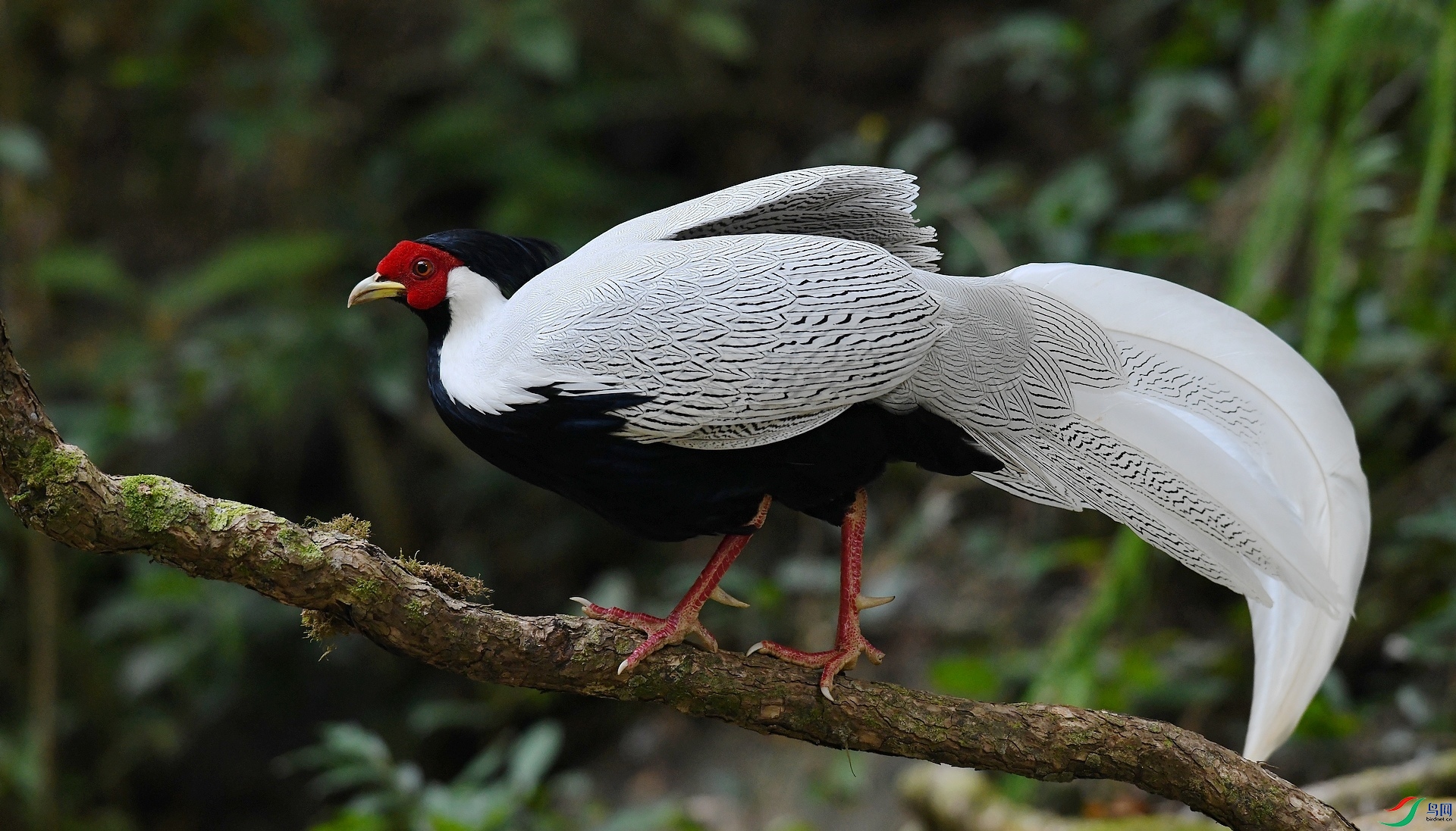 DSC_3388.jpg