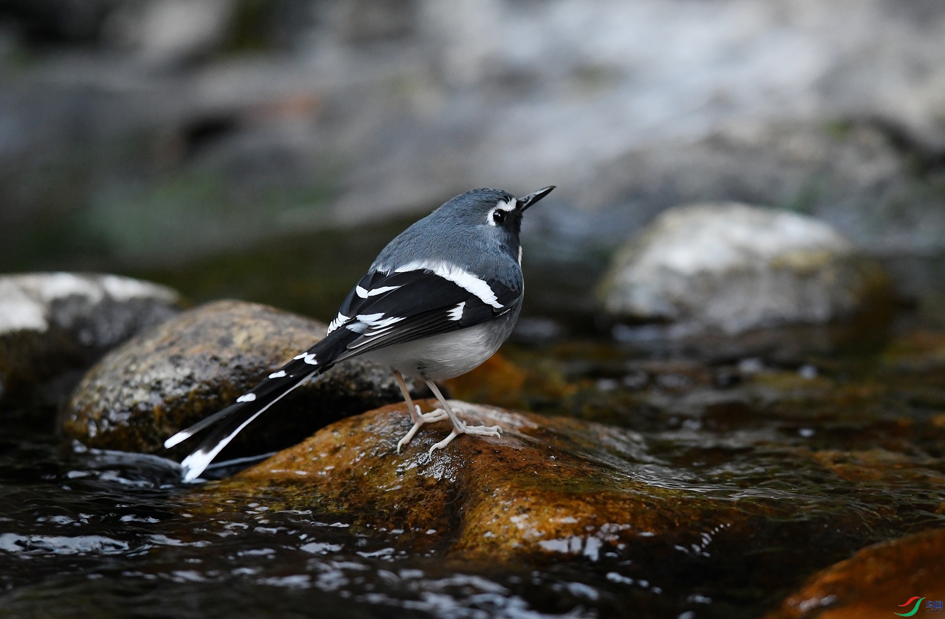 DSC_2939.jpg