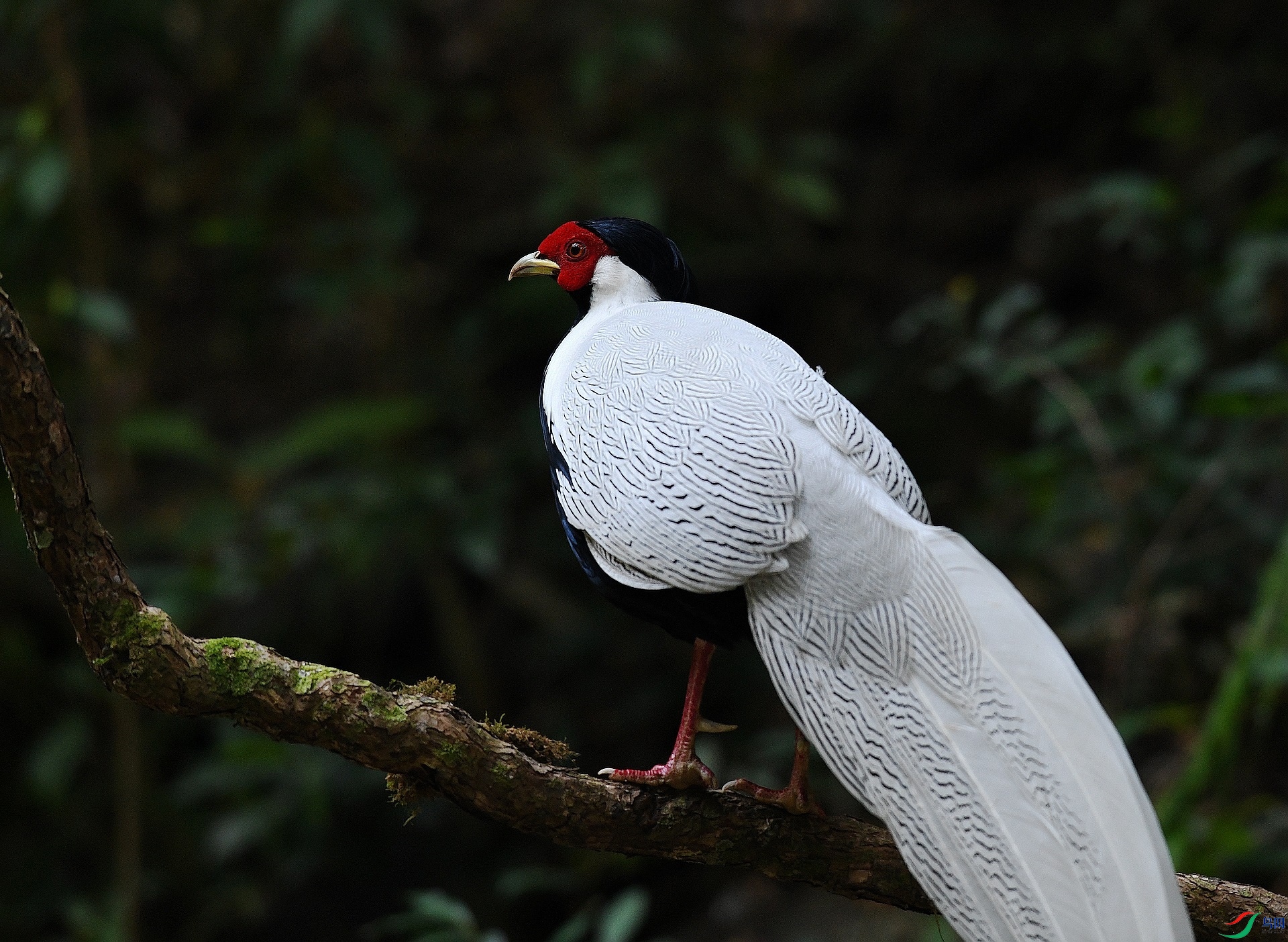 DSC_3403.jpg