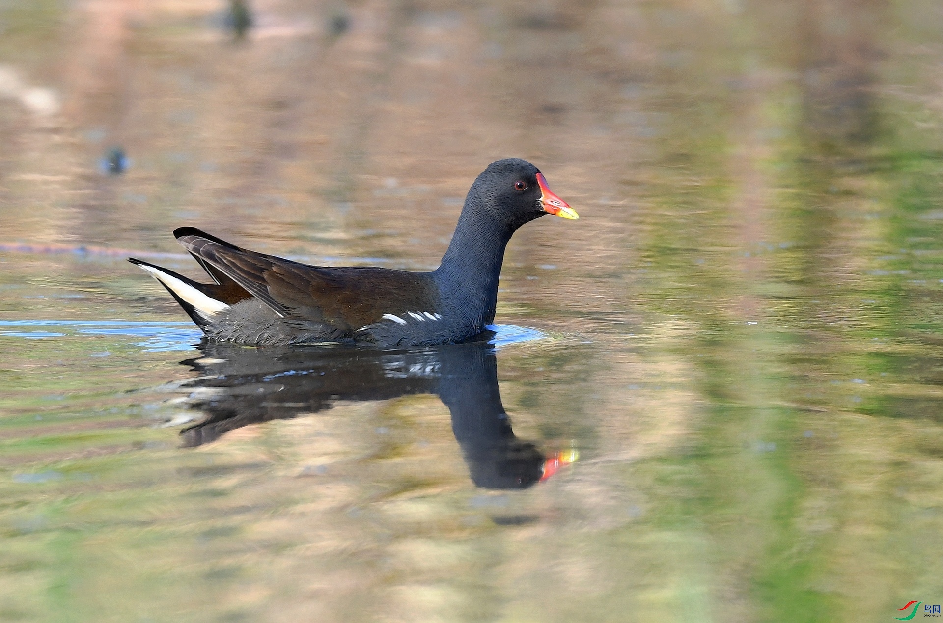 DSC_5141.jpg