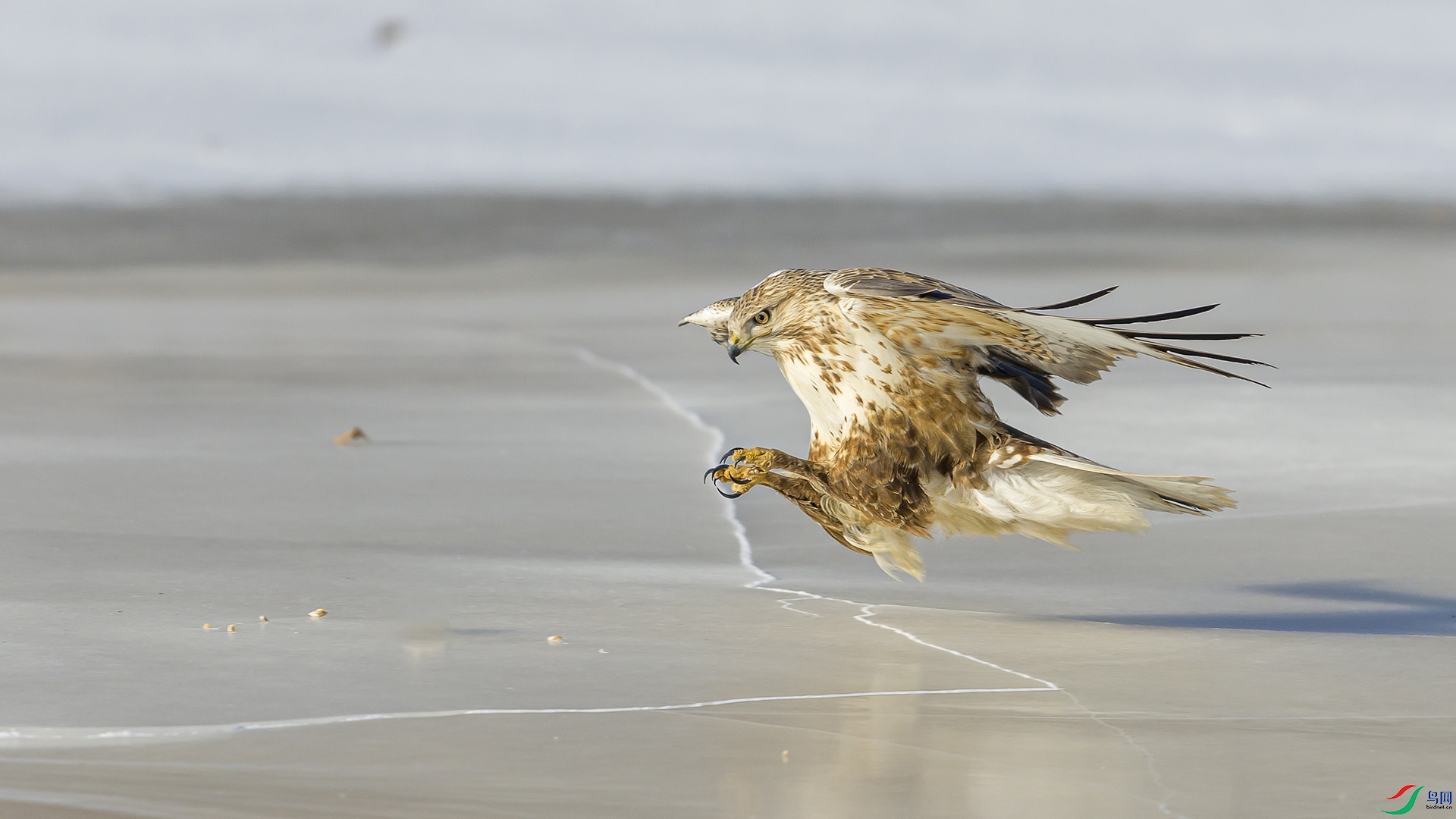 051A2839 ����n.jpg