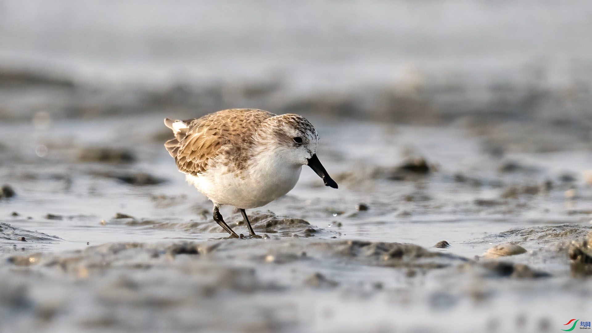 _DSC9990 ����.jpg