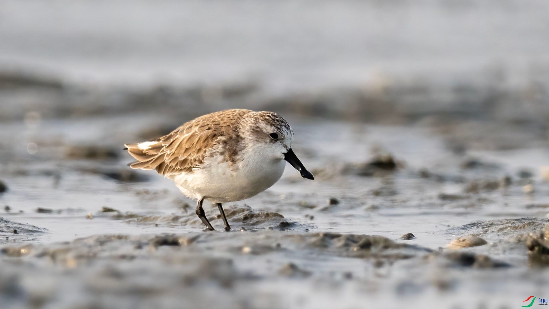 _DSC9996 ����.jpg