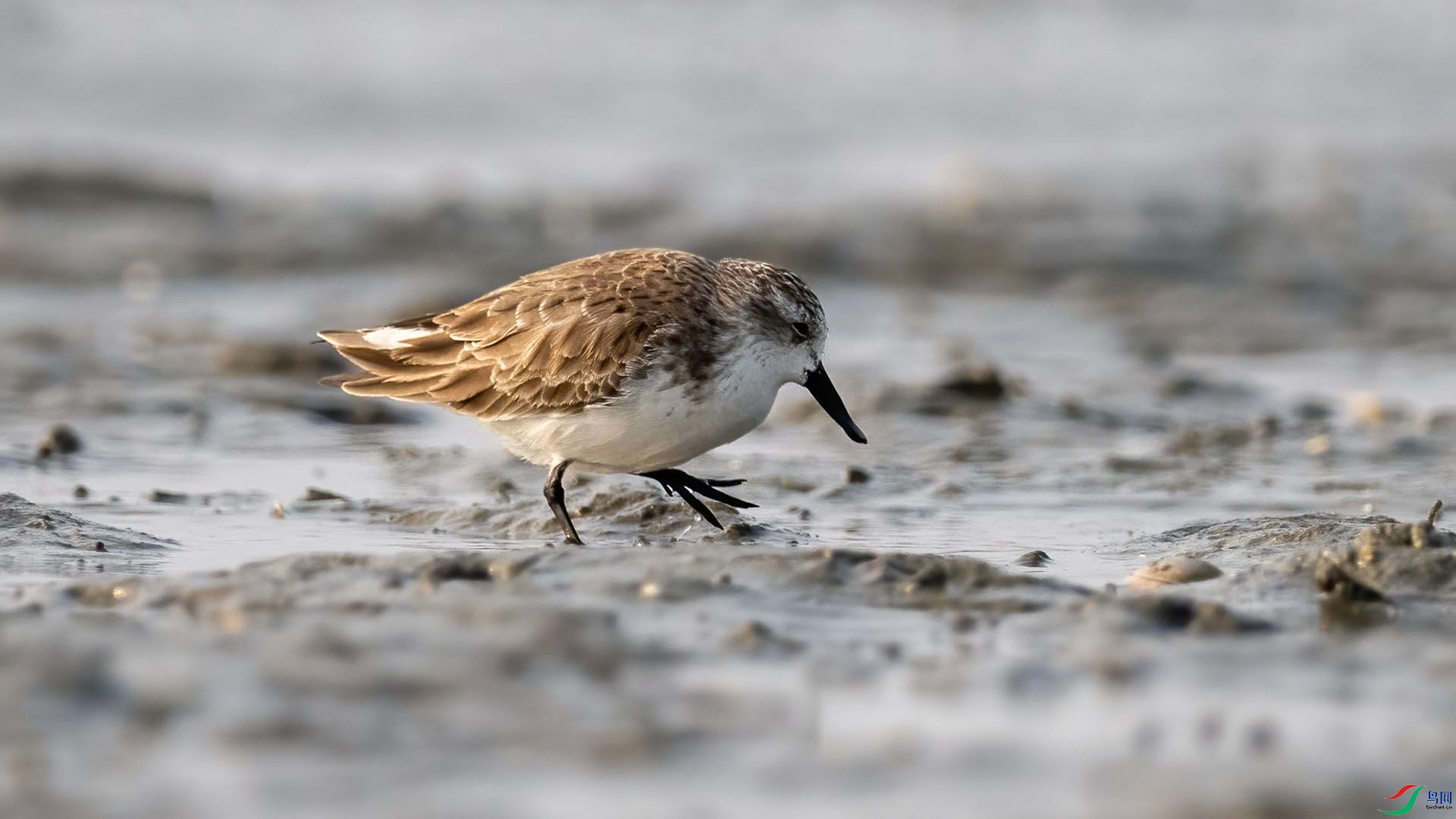 _DSC9998 ����.jpg