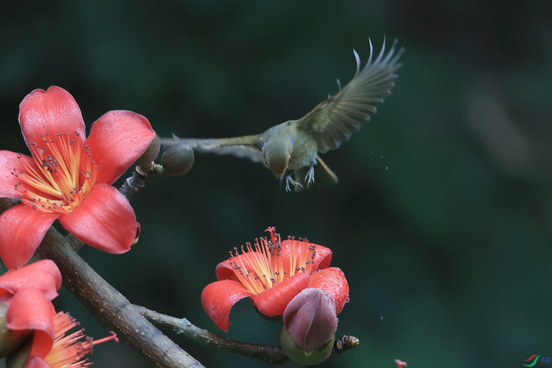 AK1I7243�� ��1.JPG