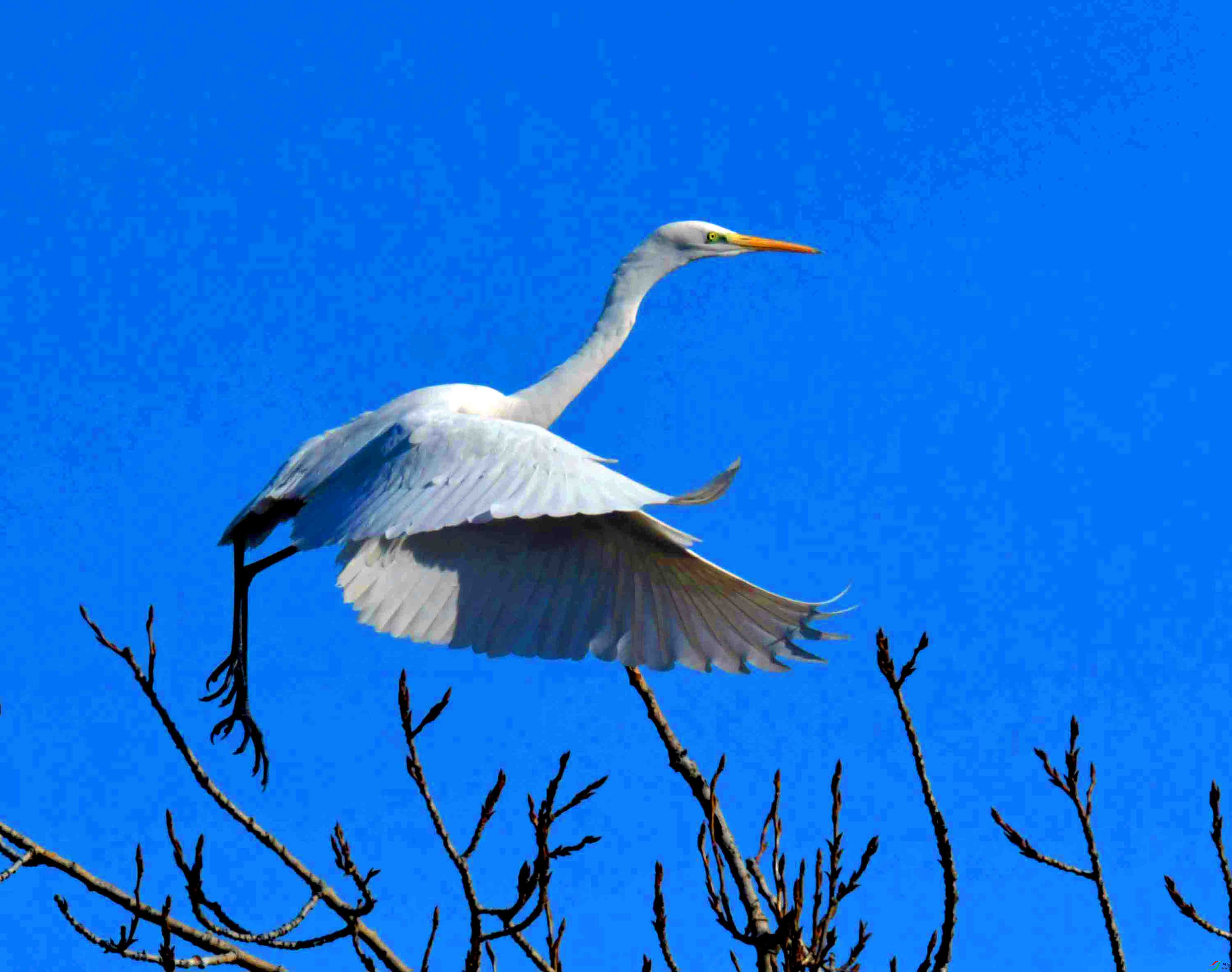 DSC_6659.JPG