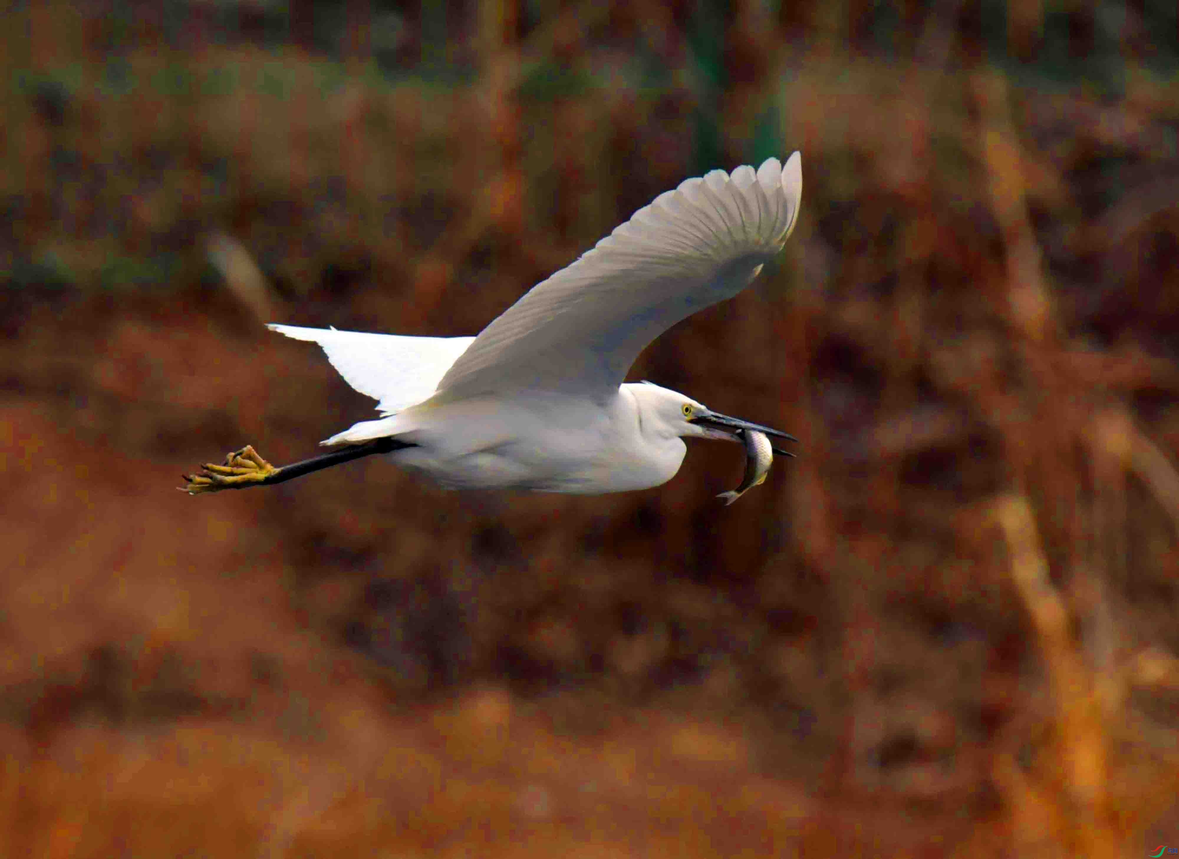 DSC_6693.JPG