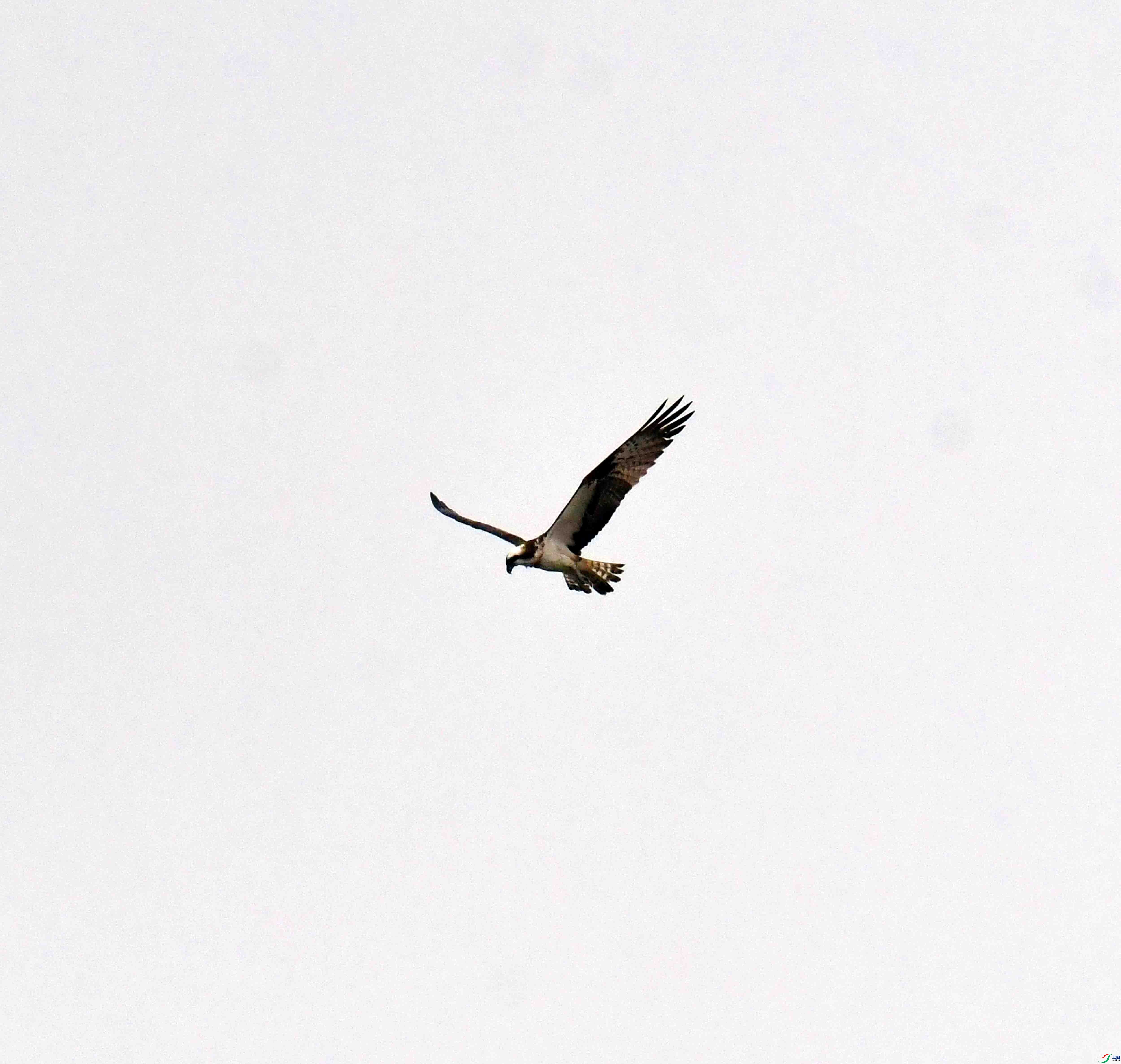 DSC_9567.JPG