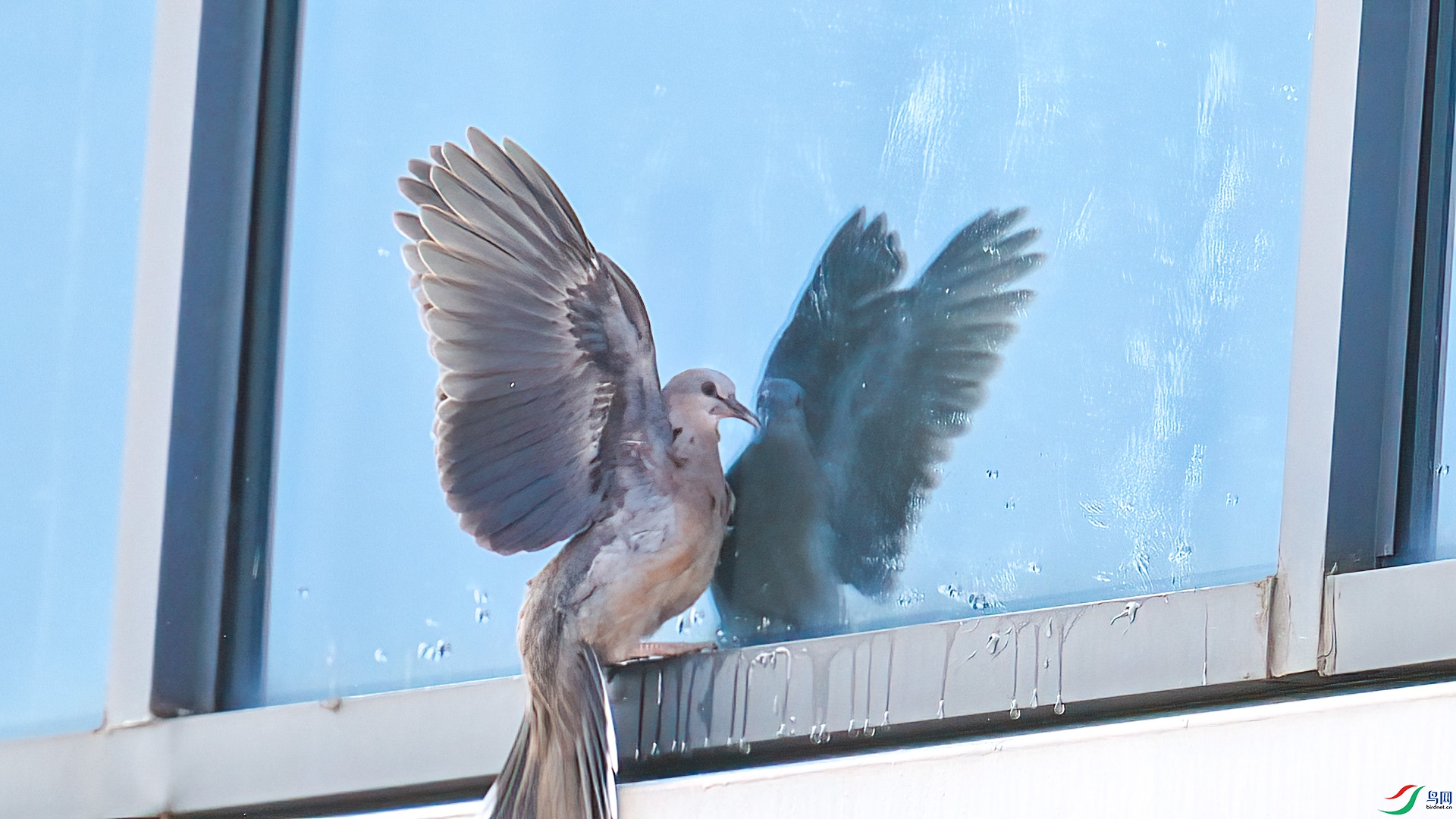 1��4�� (3)(1).jpg