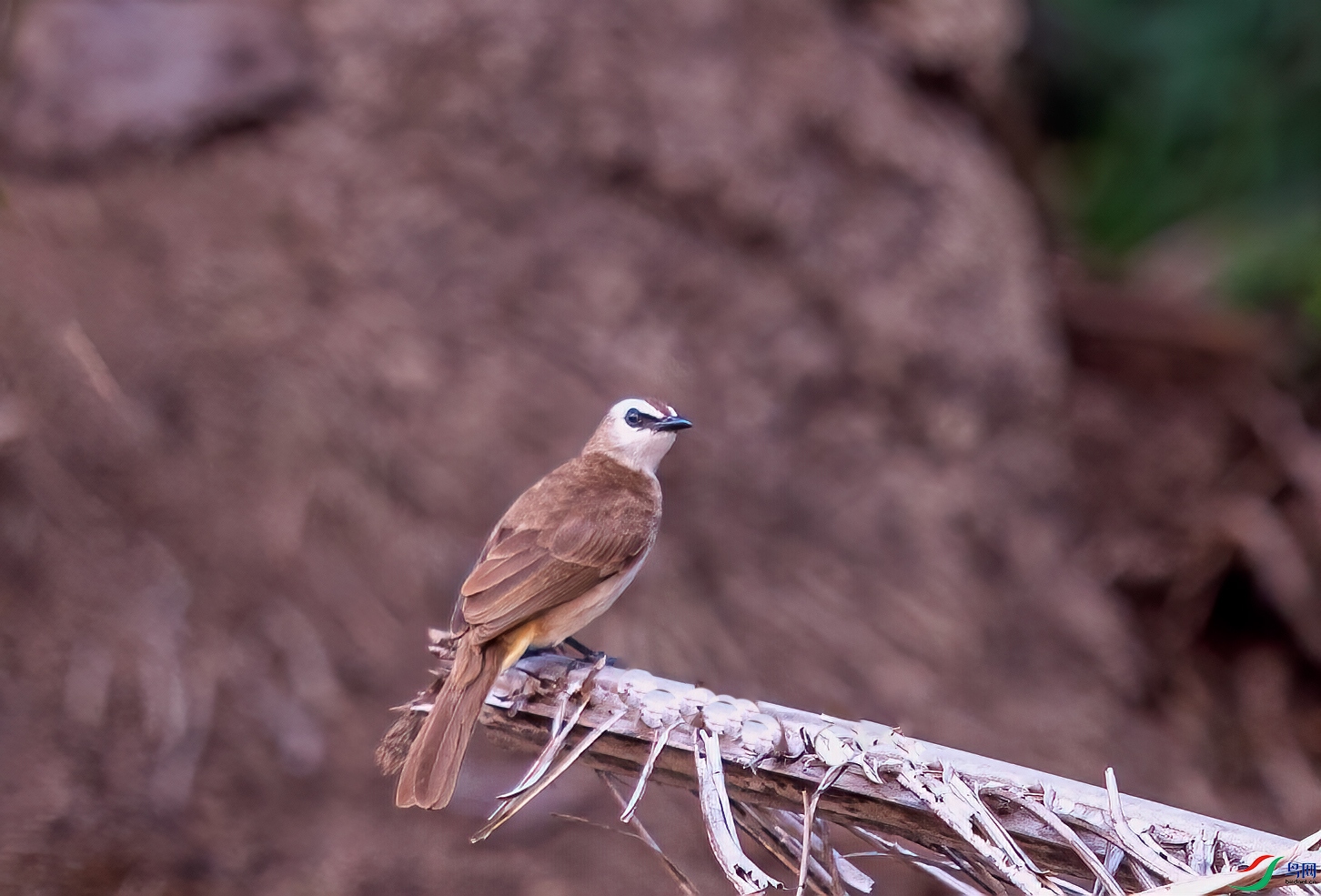 _DSC0317-1.jpg