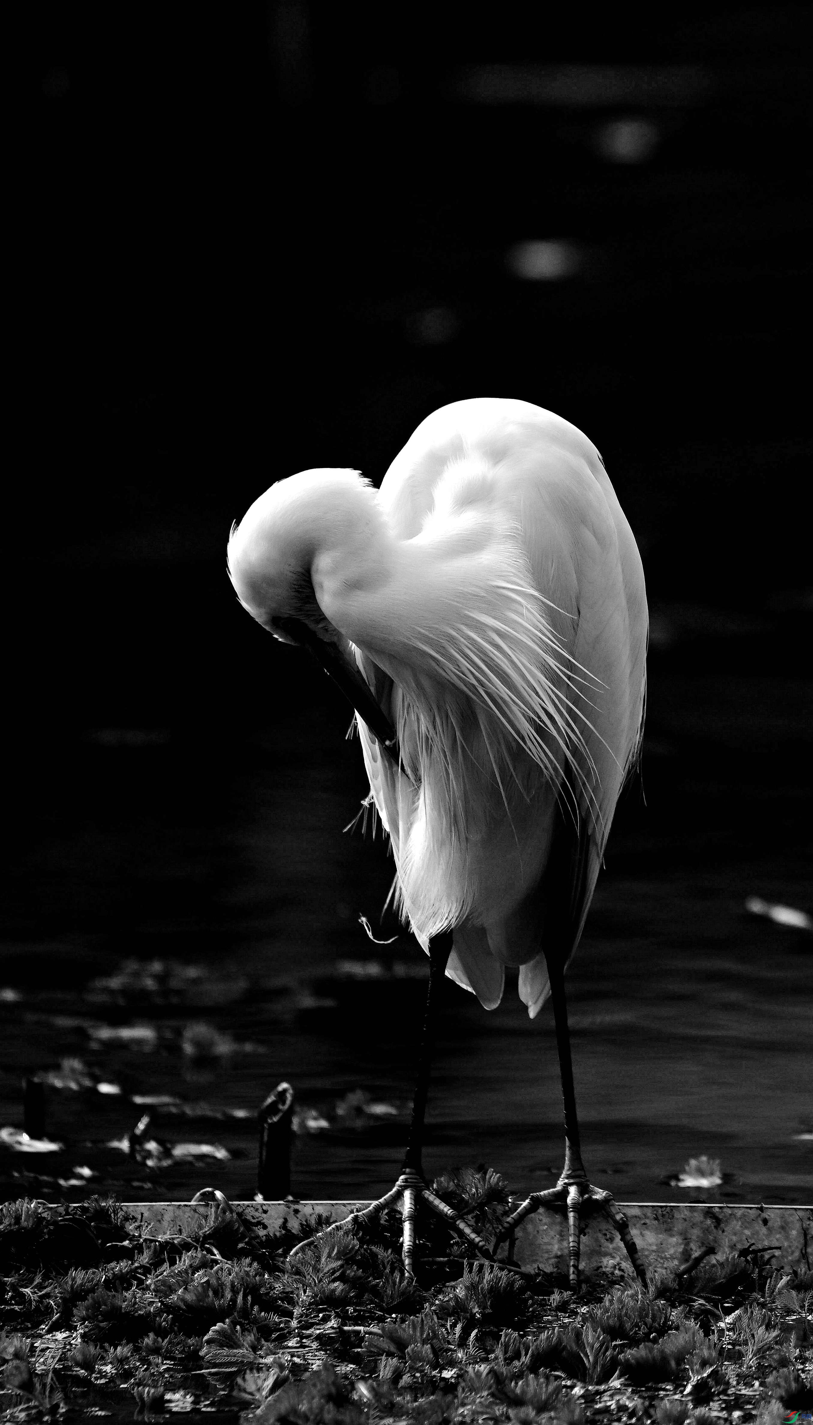 DSC_0213.jpg