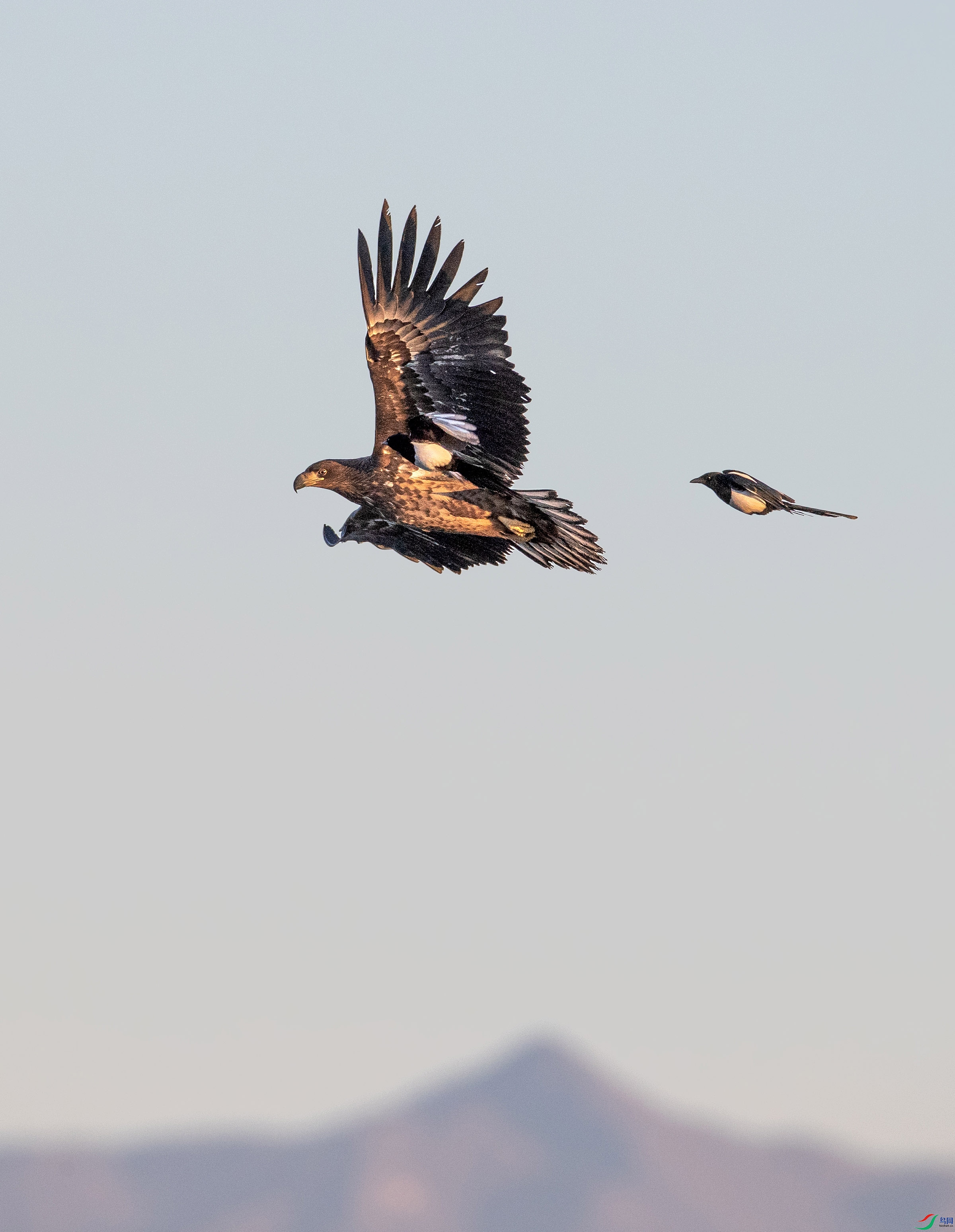 A79I0969 ����.jpg