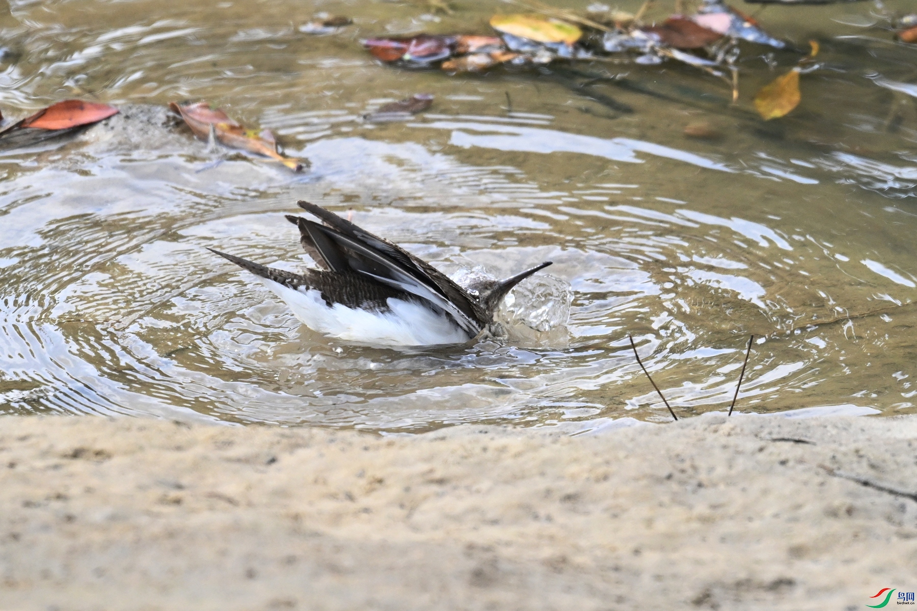 DSC_7777.JPG
